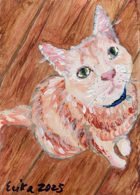 Erika - tiny pet  7.JPG