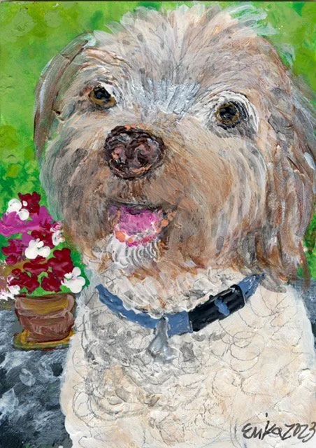 Erika - tiny pet  12.JPG