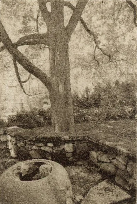 Oasis.jpg