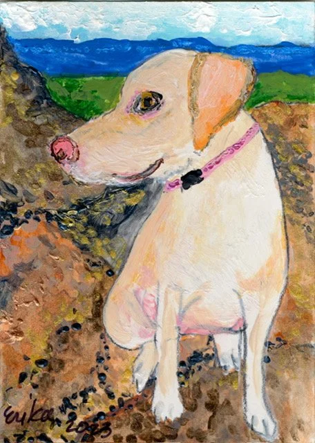 Erika - tiny pet  14.JPG