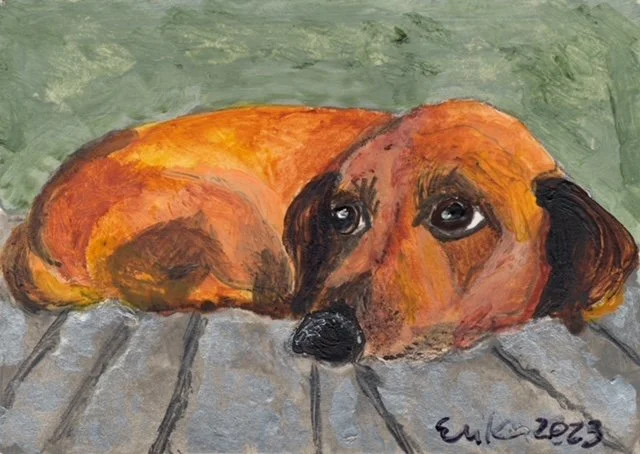 Erika - tiny pet  16.JPG