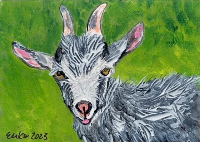 Erika - tiny pet  3.JPG