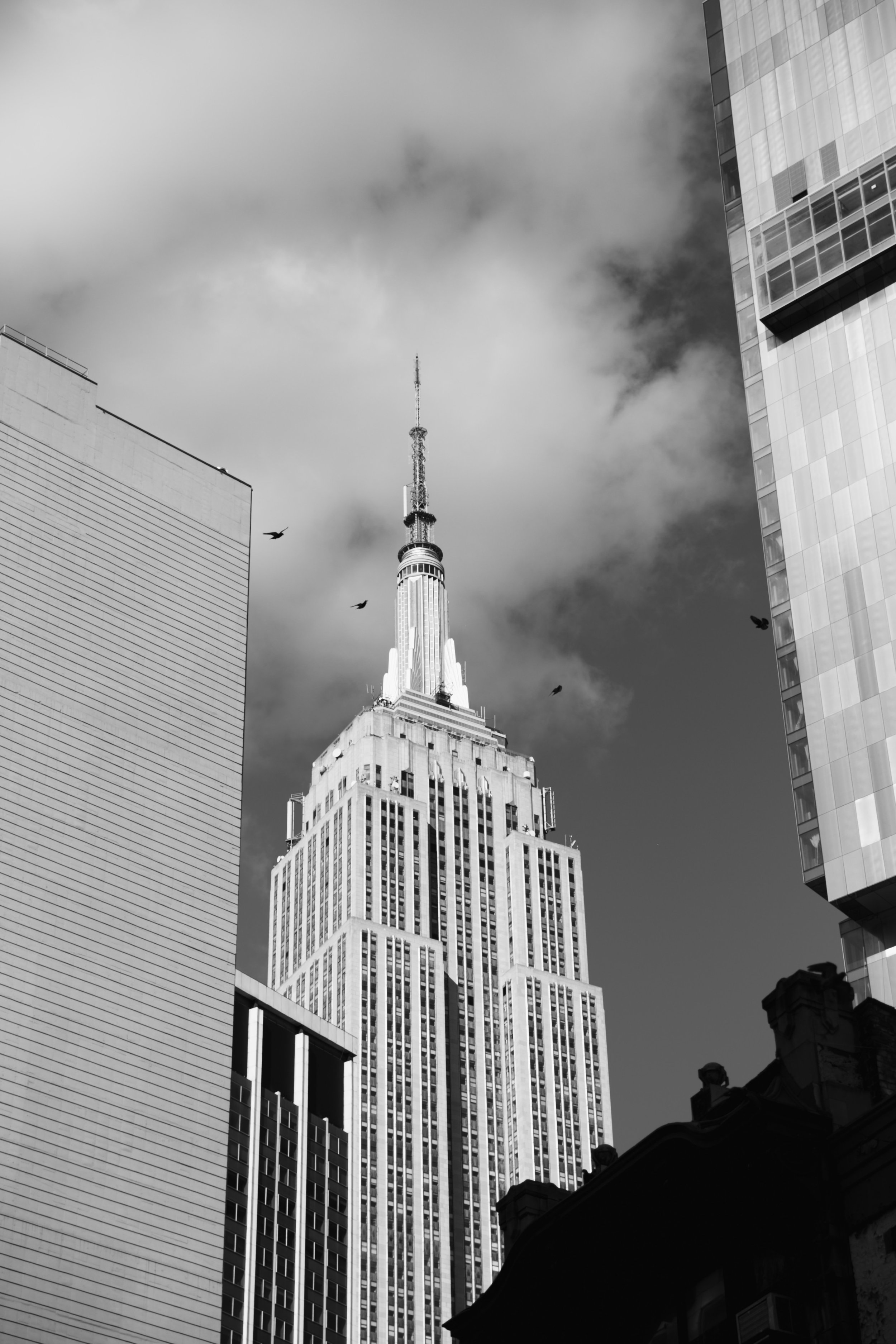 IMG_1231 2.jpg