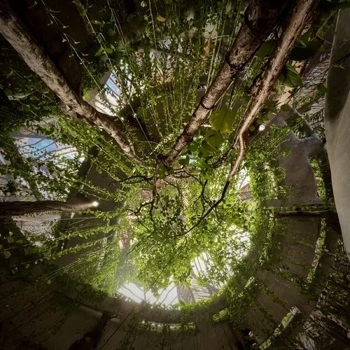 Experience a full day of stunning art and beautiful nature.