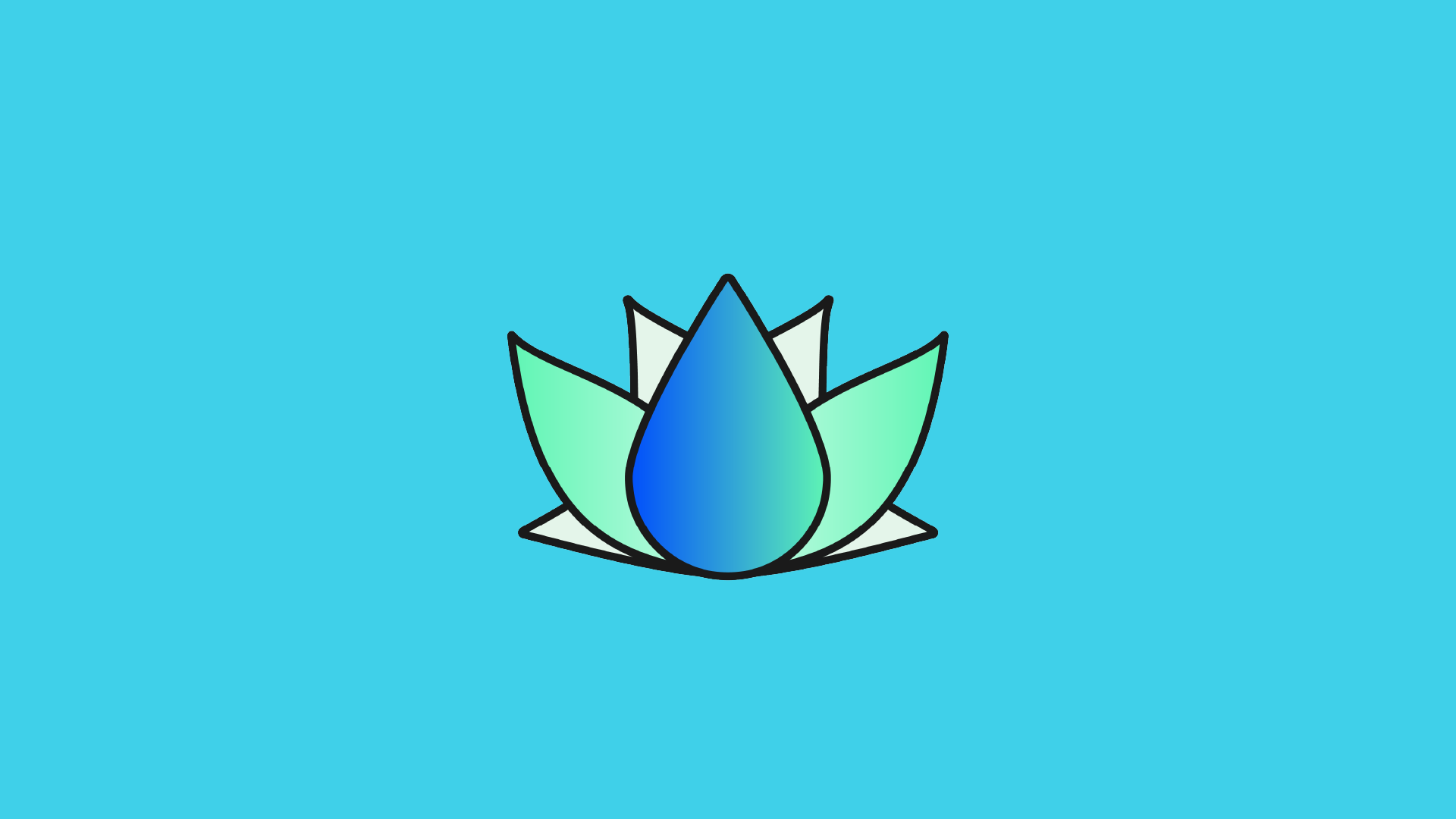 LI Hydration Lotus Flower Wellness Branding by Paxton Creative Co