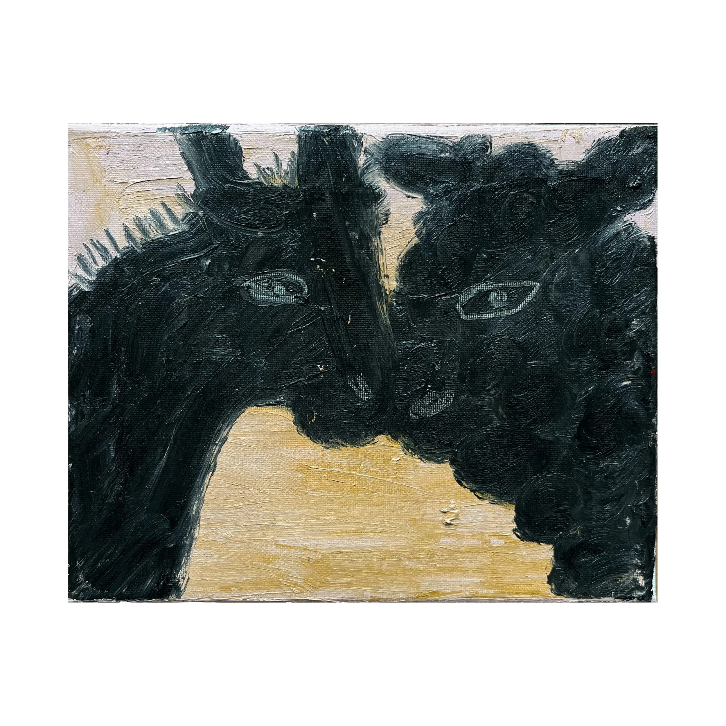 “black sheep, black horse”