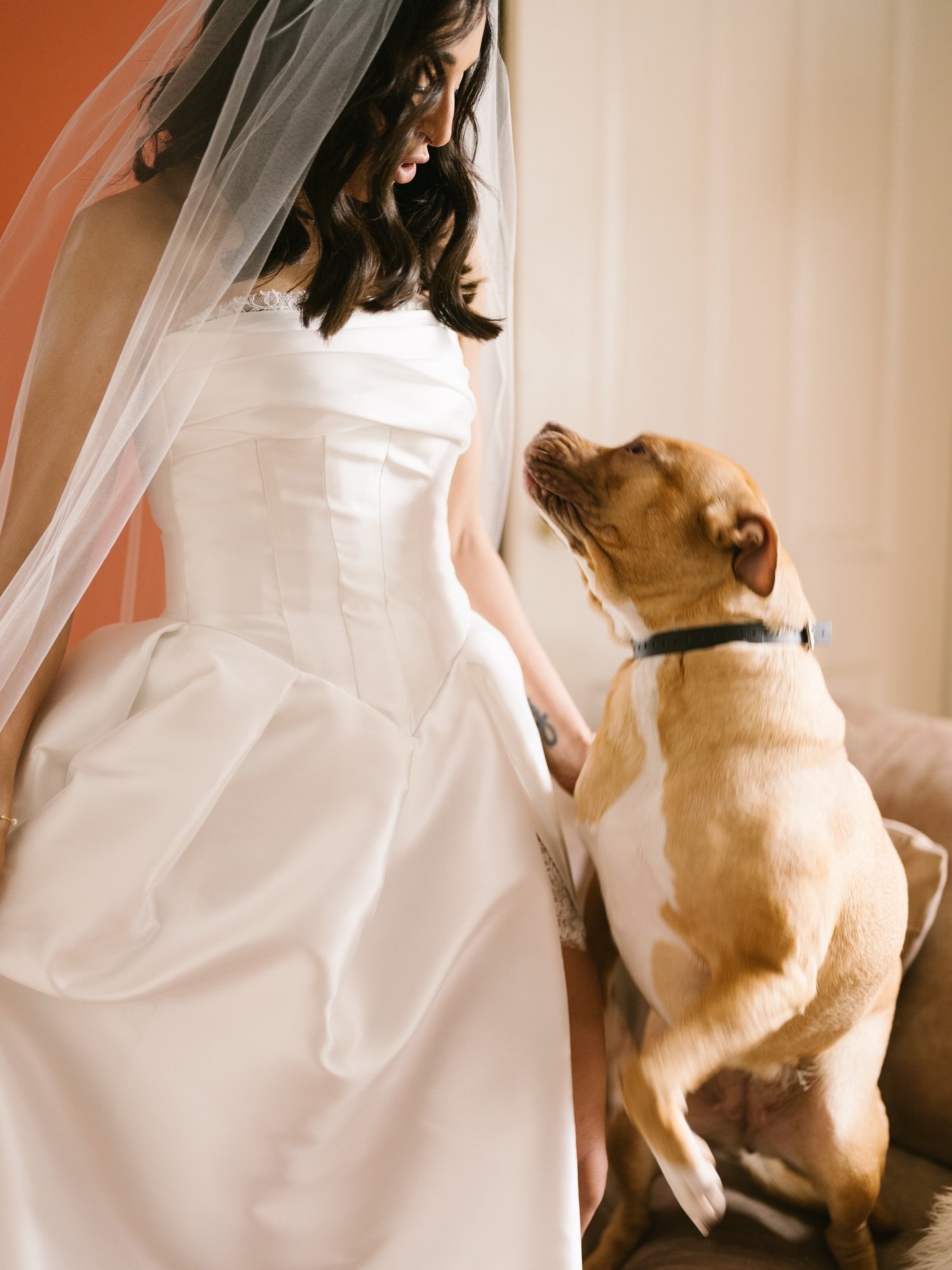 🍾ANASTASIA 🥂

 
#SydneyWedding #Couture #Bride #WeddingFilm #WeddingVideography #WeddingVideographer  #MelbourneWedding  #Romance #WeddingPhotography #Cinematic  #instawedding #BeautifulBride  #WeddingMoments #LoveStory #WeddingDay #WeddingPhotogra