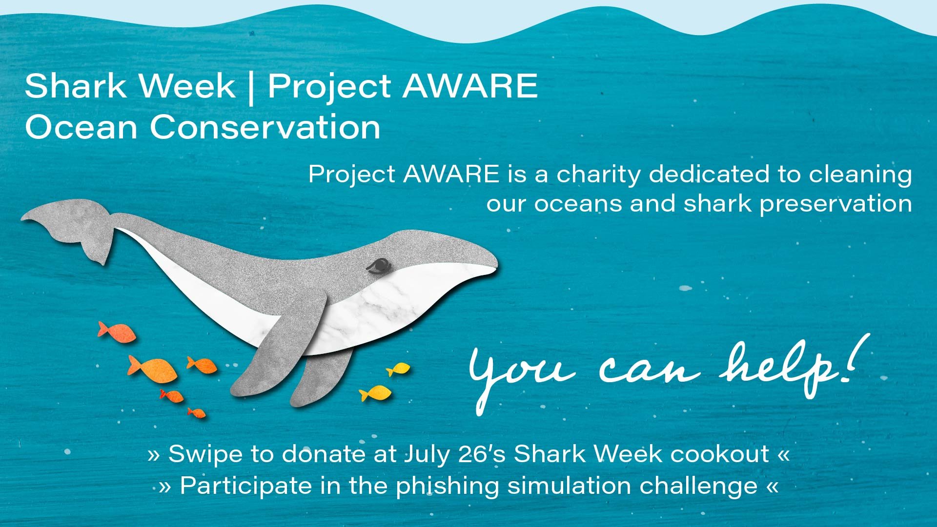 19-0952 Project Aware Ocean conservation digital signage-Whale-F.jpg