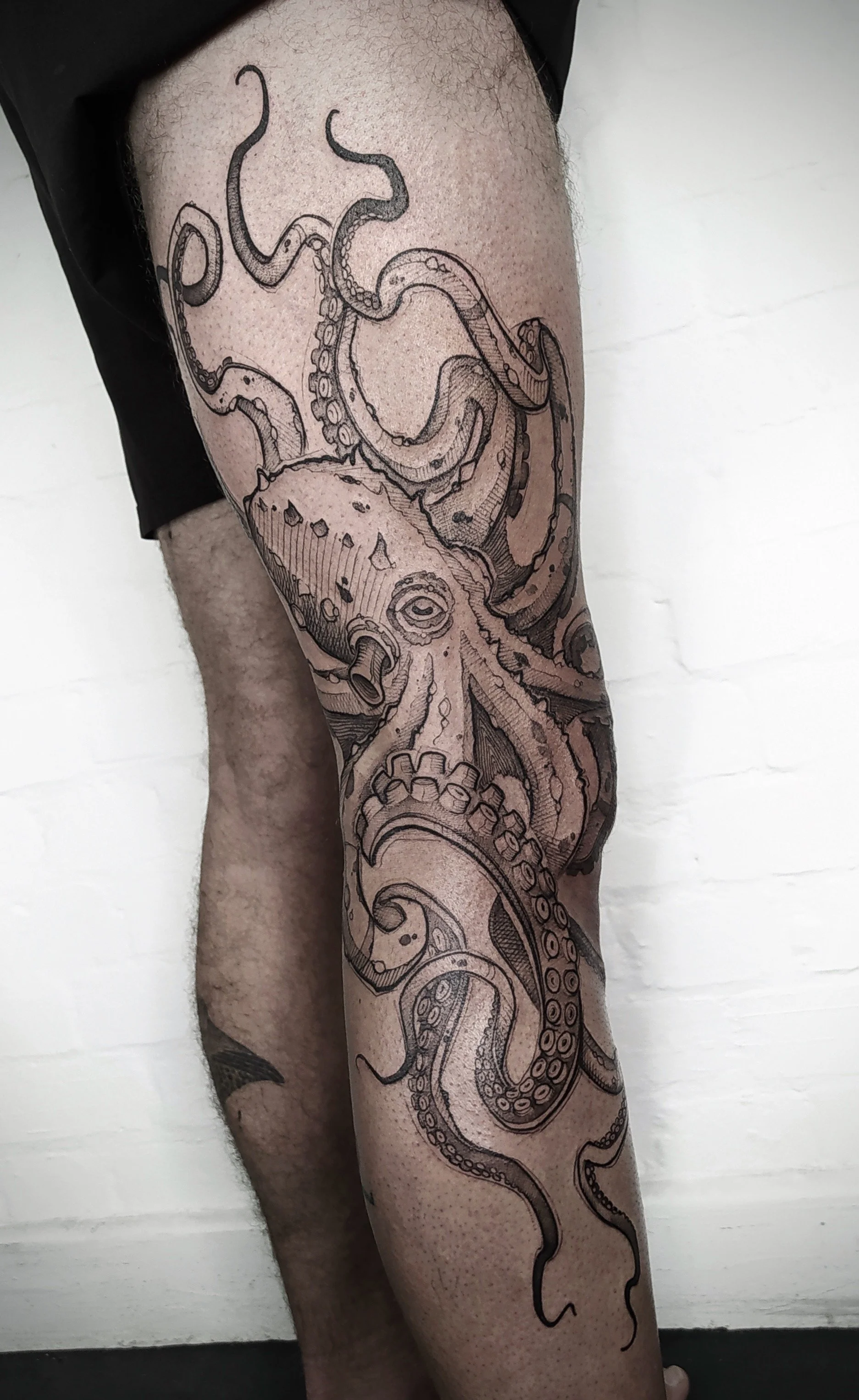 IMG_20221005_194306 Copia.JPG