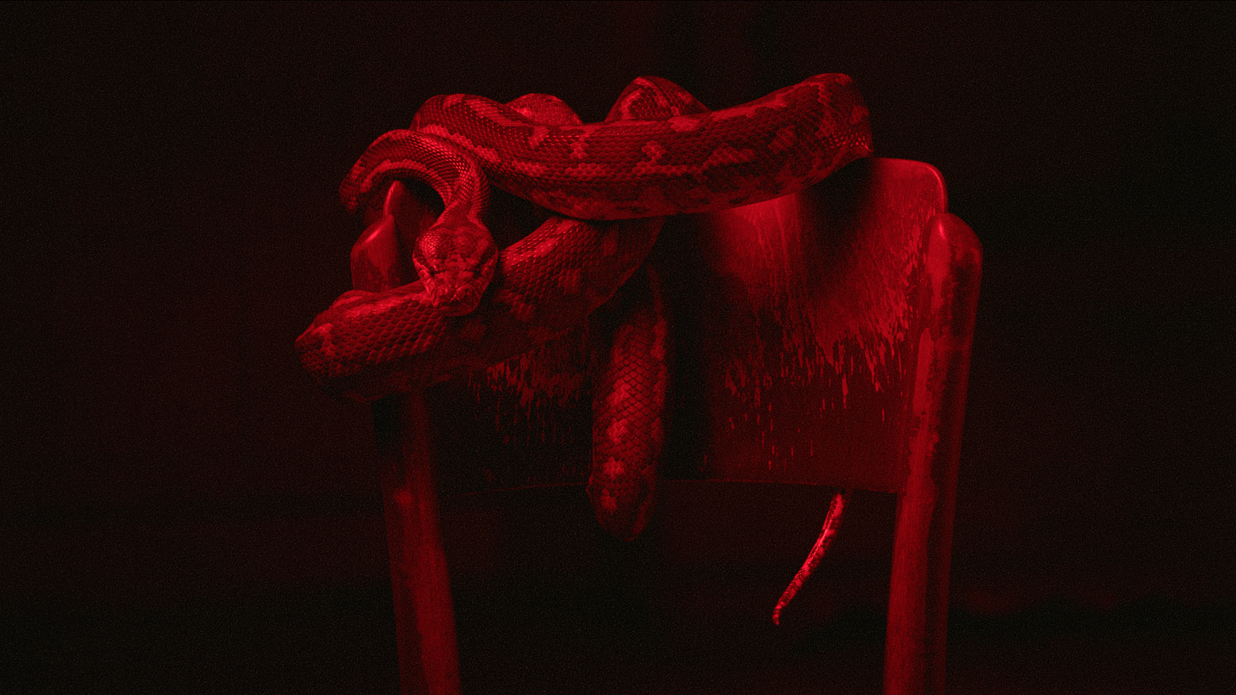 PVRIS_DEATHOFME10.png
