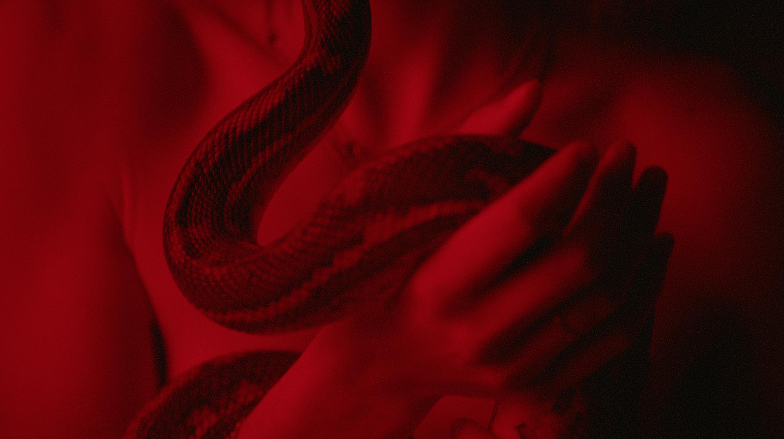 PVRIS_DEATHOFME9.png