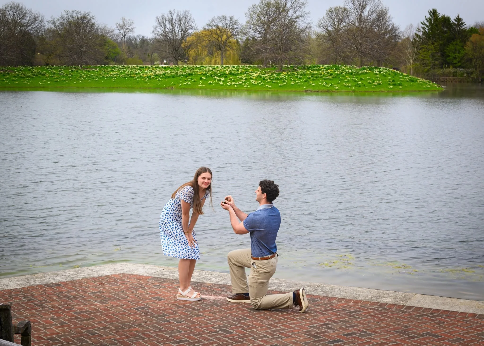 A picture-perfect surprise marriage proposal at the beautiful Chicago Botanic Garden! 💍🌿 With a sparkling lake as the backdrop, this romantic moment captures the excitement of getting down on one knee and asking that unforgettable question.

Locate