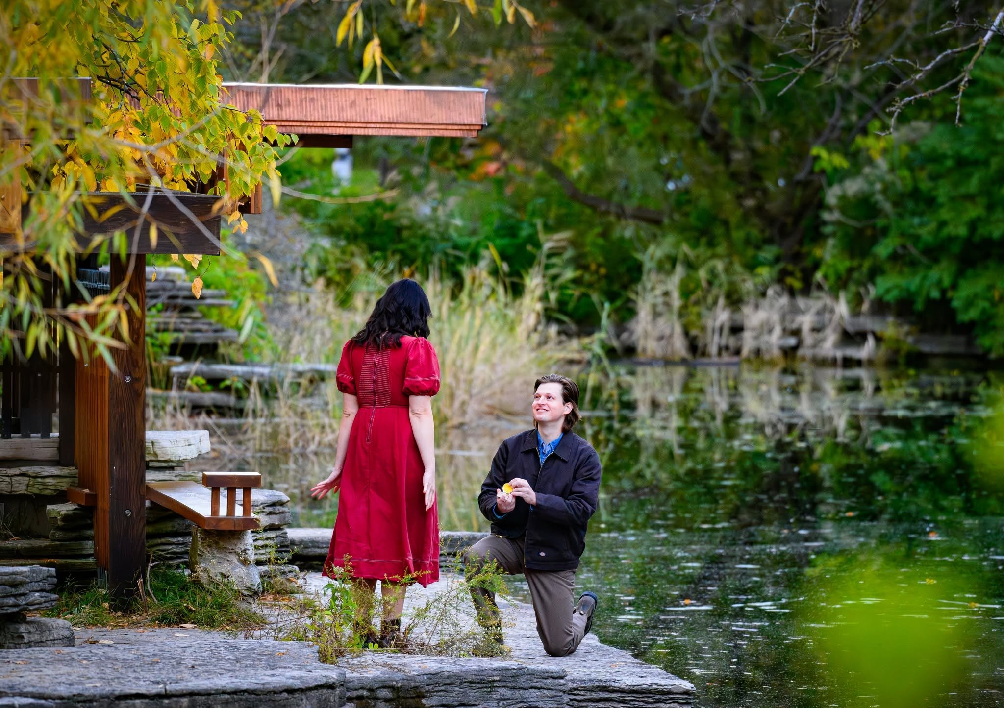 Romantic surprise marriage proposal at the Alfred Caldwell Lily Pool in Chicago’s Lincoln Park, near Lincoln Park Zoo. A man kneels on one knee beside the tranquil lily pond to propose to his girlfriend, surrounded by lush greenery, natural stone pat