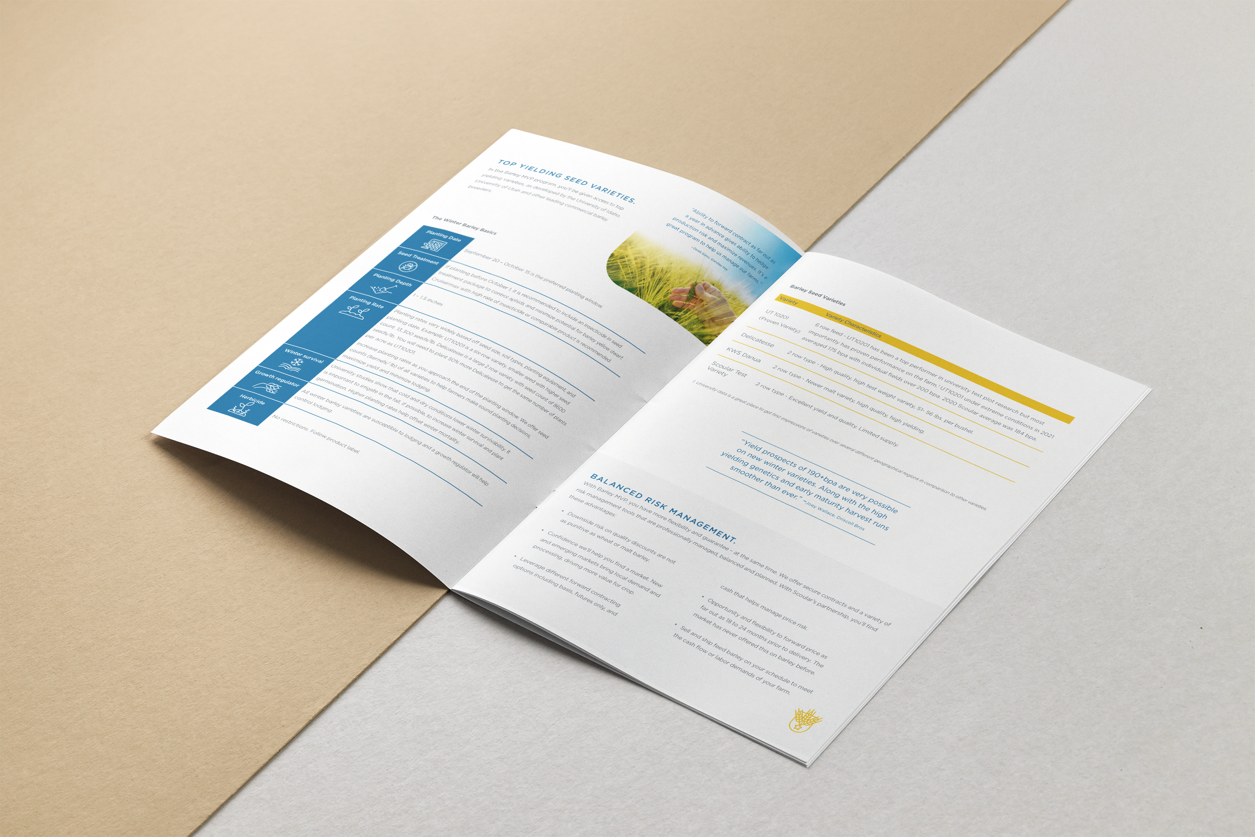 Barley MVP handbook 2