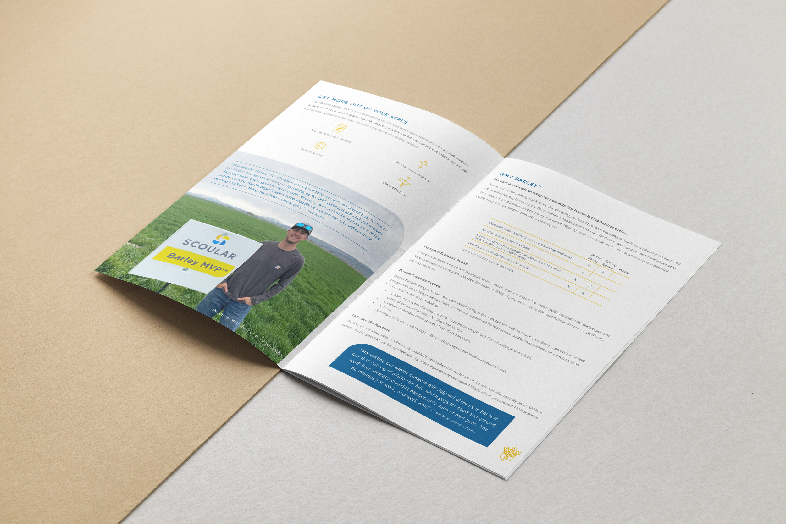 Barley MVP handbook 1