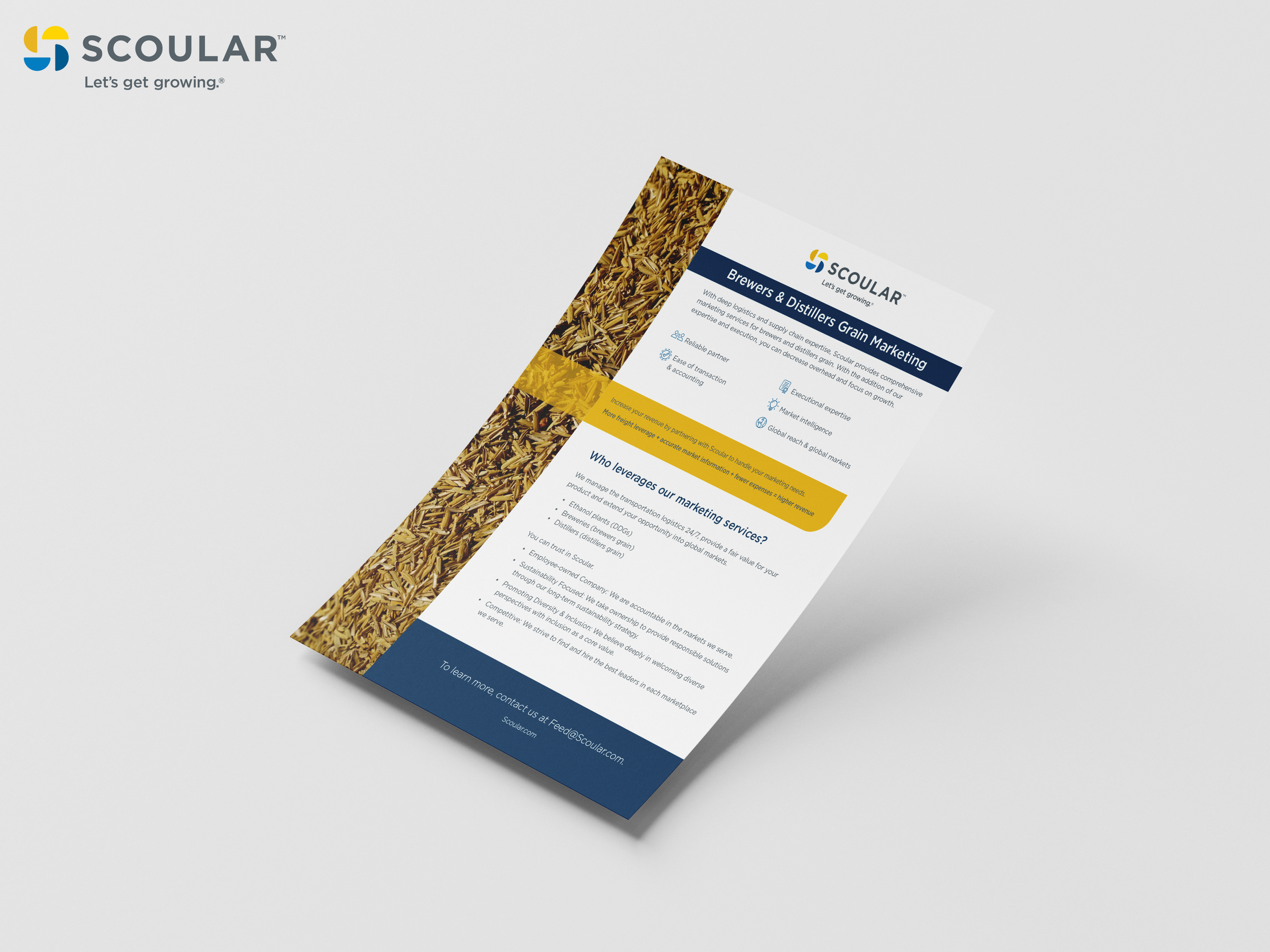 Scoular Distillers Grain one pager