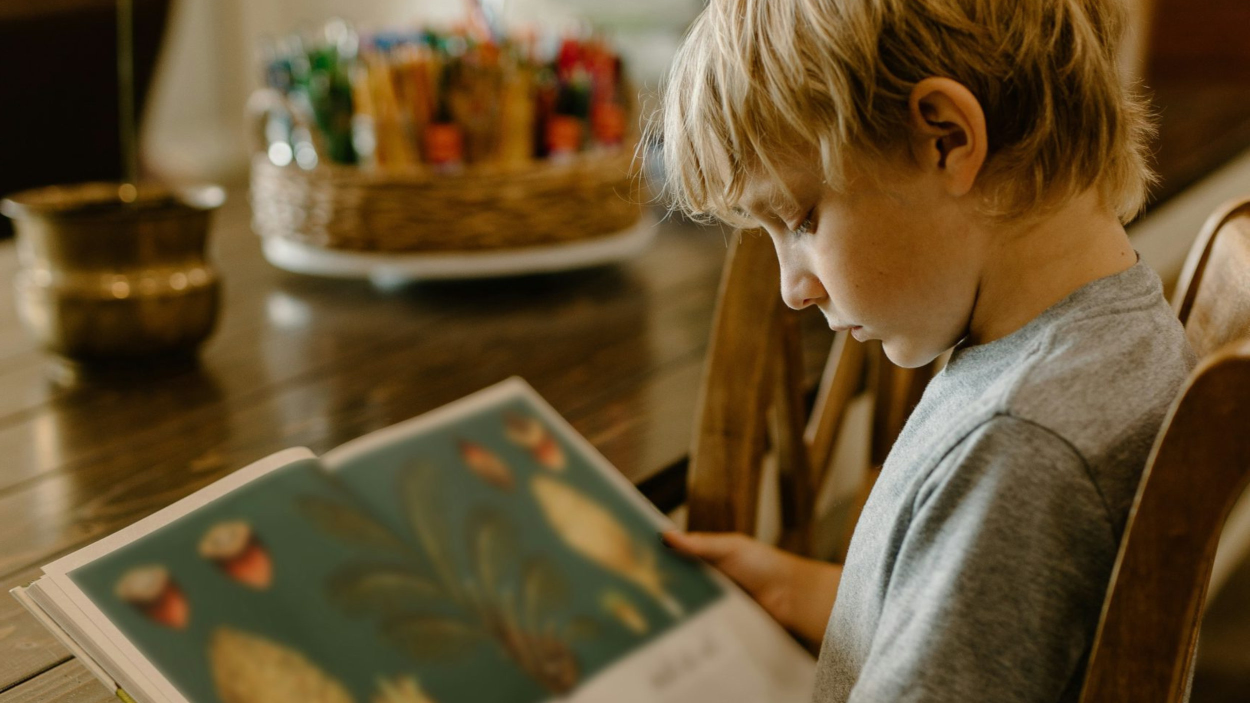 Silas &amp; Barbara’s Favourite Kids' Bibles for Yrs 3-6 — 2026