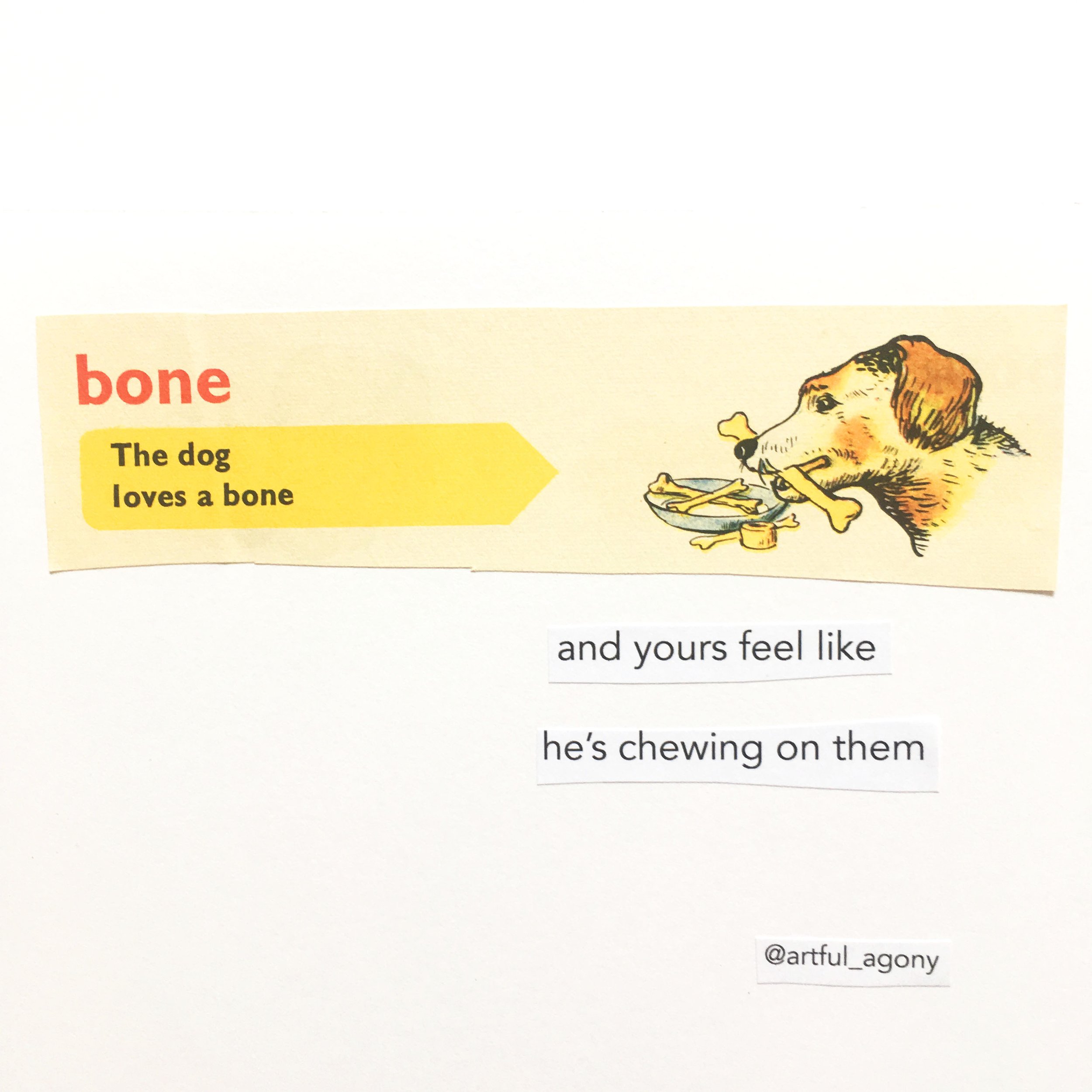 bone.jpg