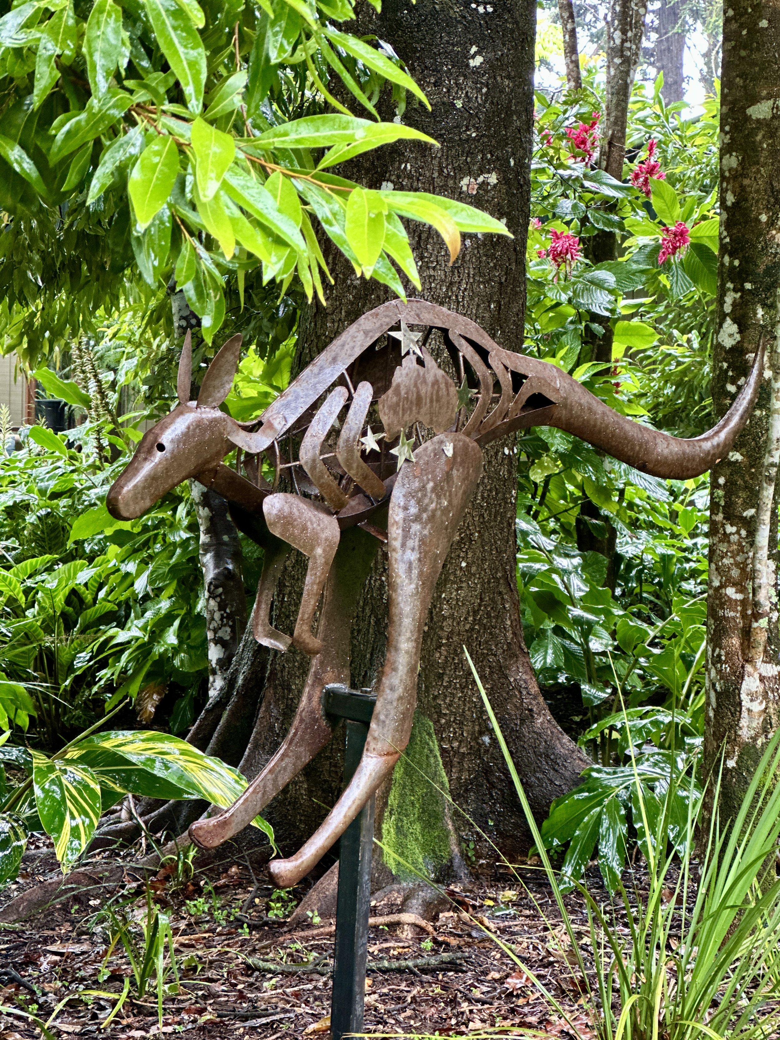 Richard_eggleston_kangaroo2.jpg