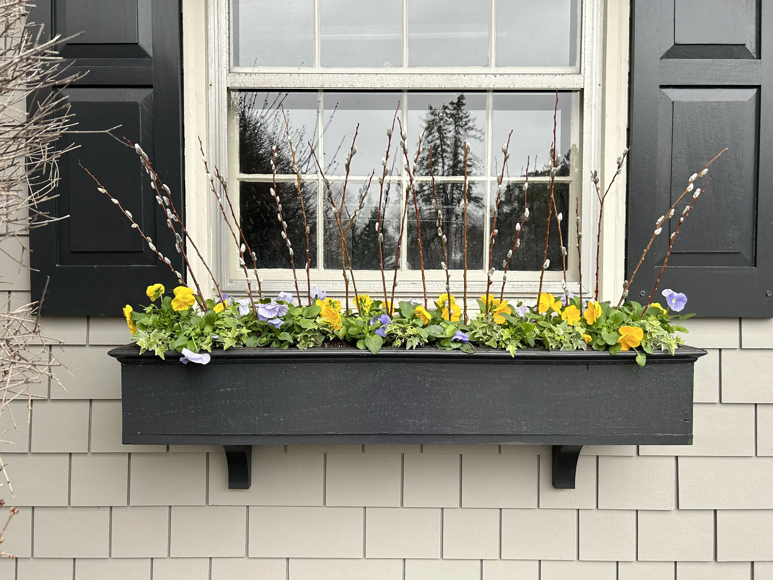 window-box-flowers.webp