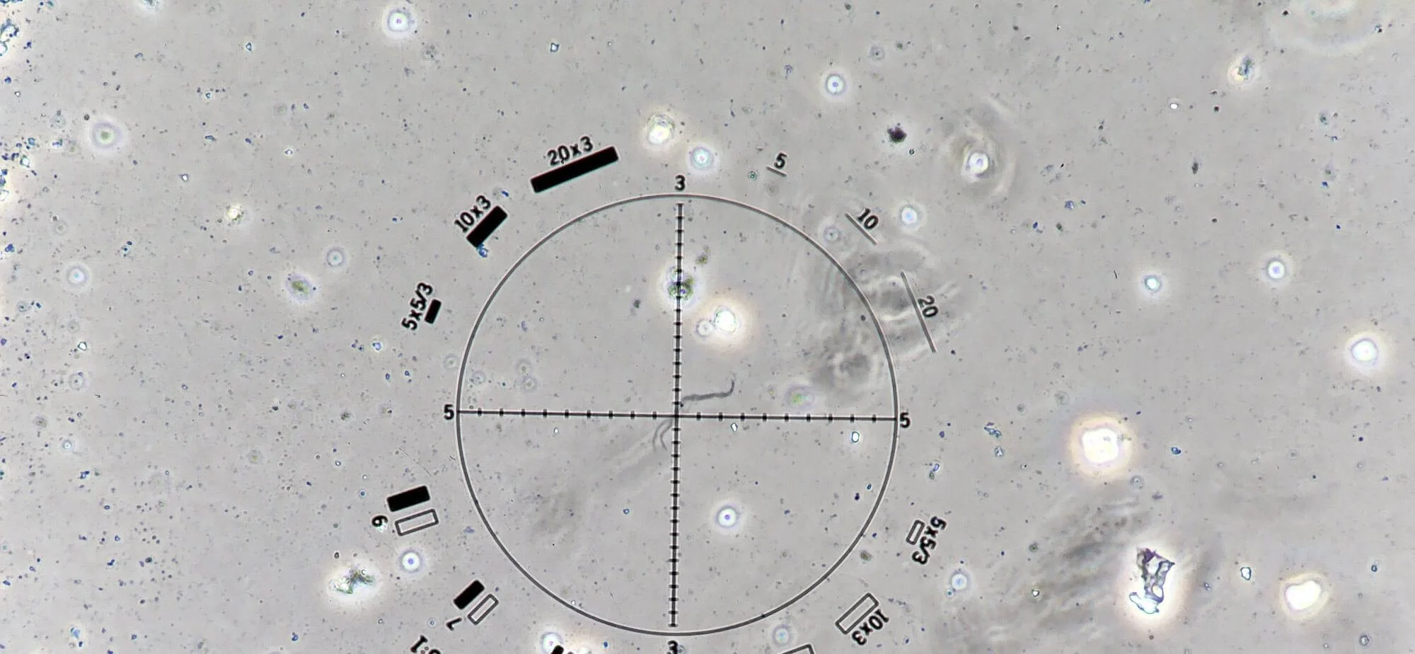 Asbestos Fibre Air Monitoring Clearance Inspections Applied Risk