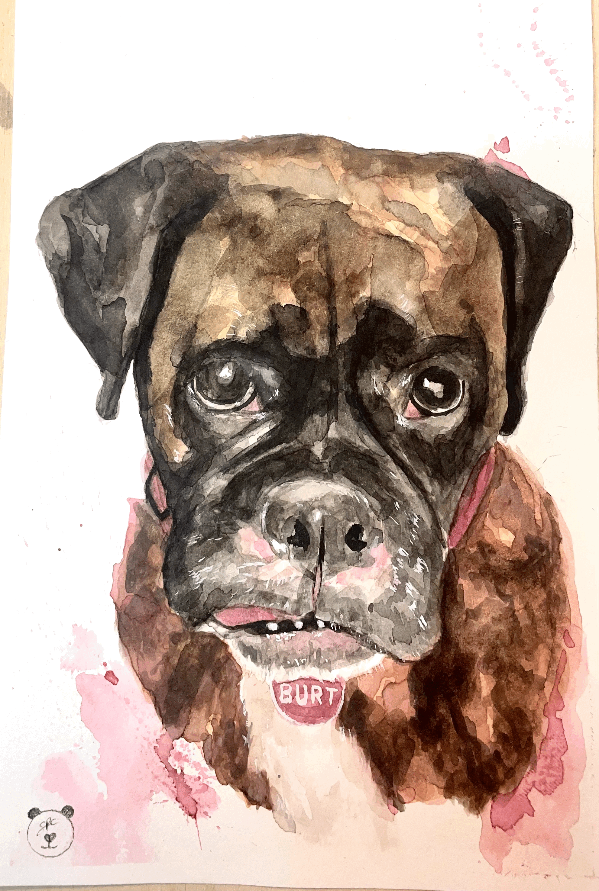 Burt - Dog Portrait