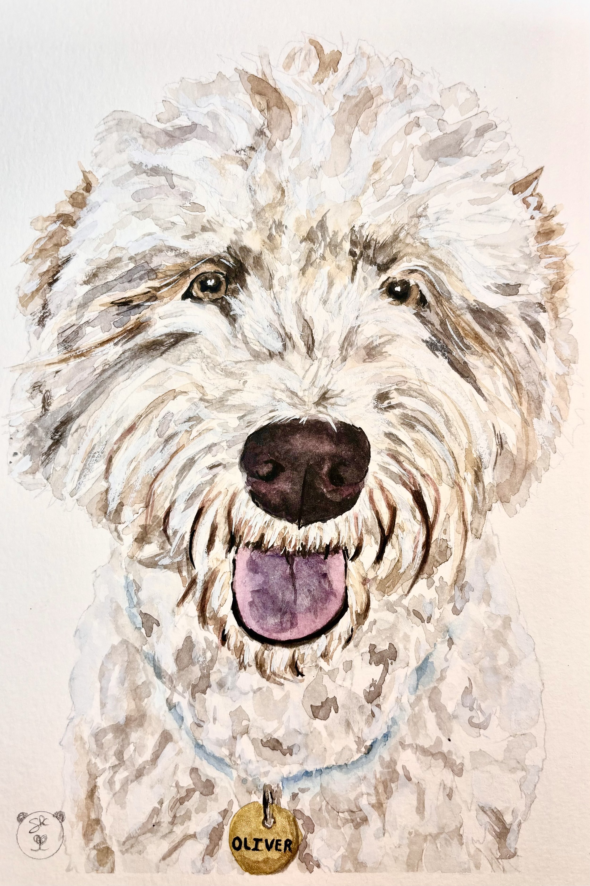 Oliver- Dog Portrait
