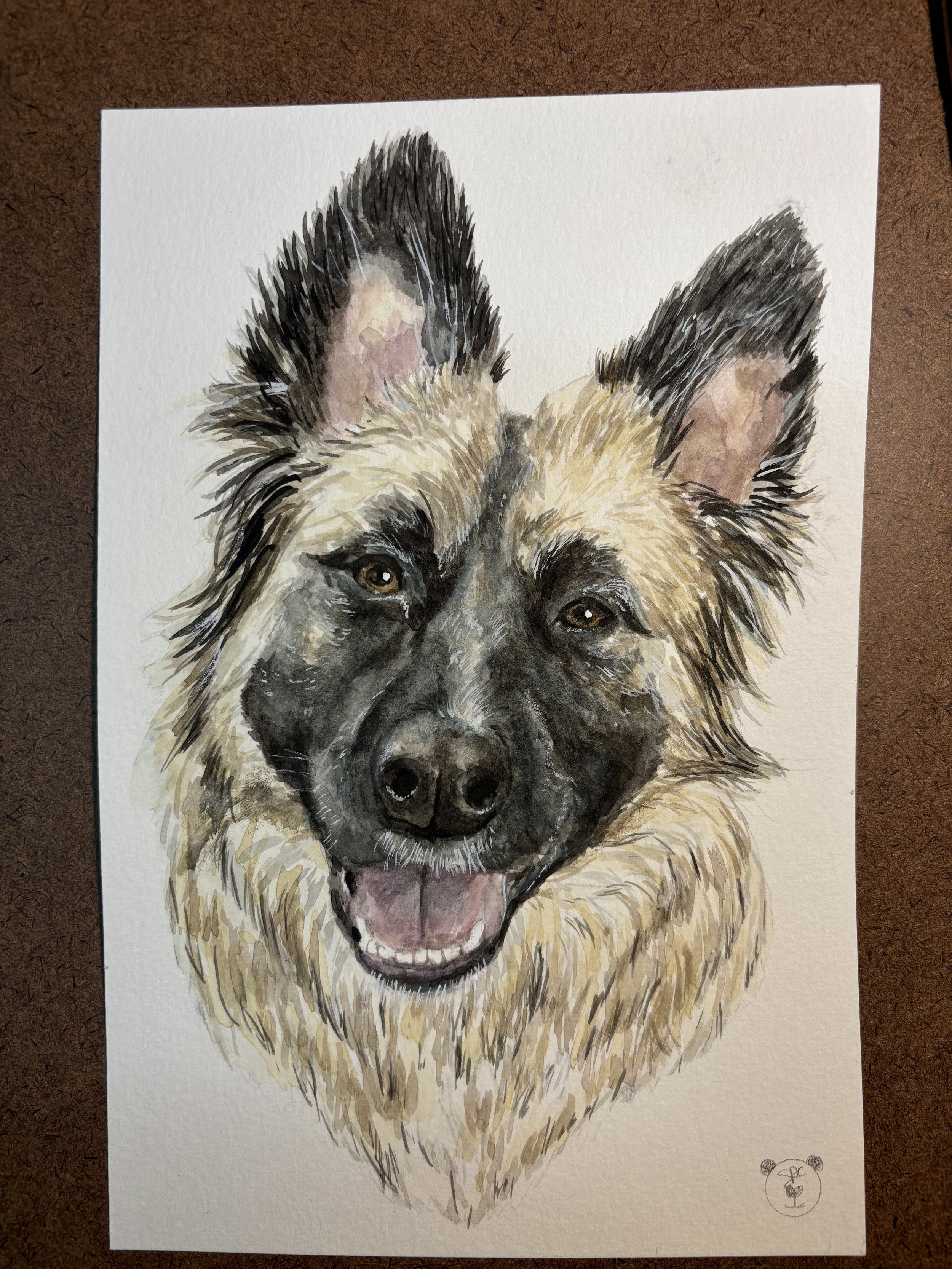 Sprout- Dog Portrait