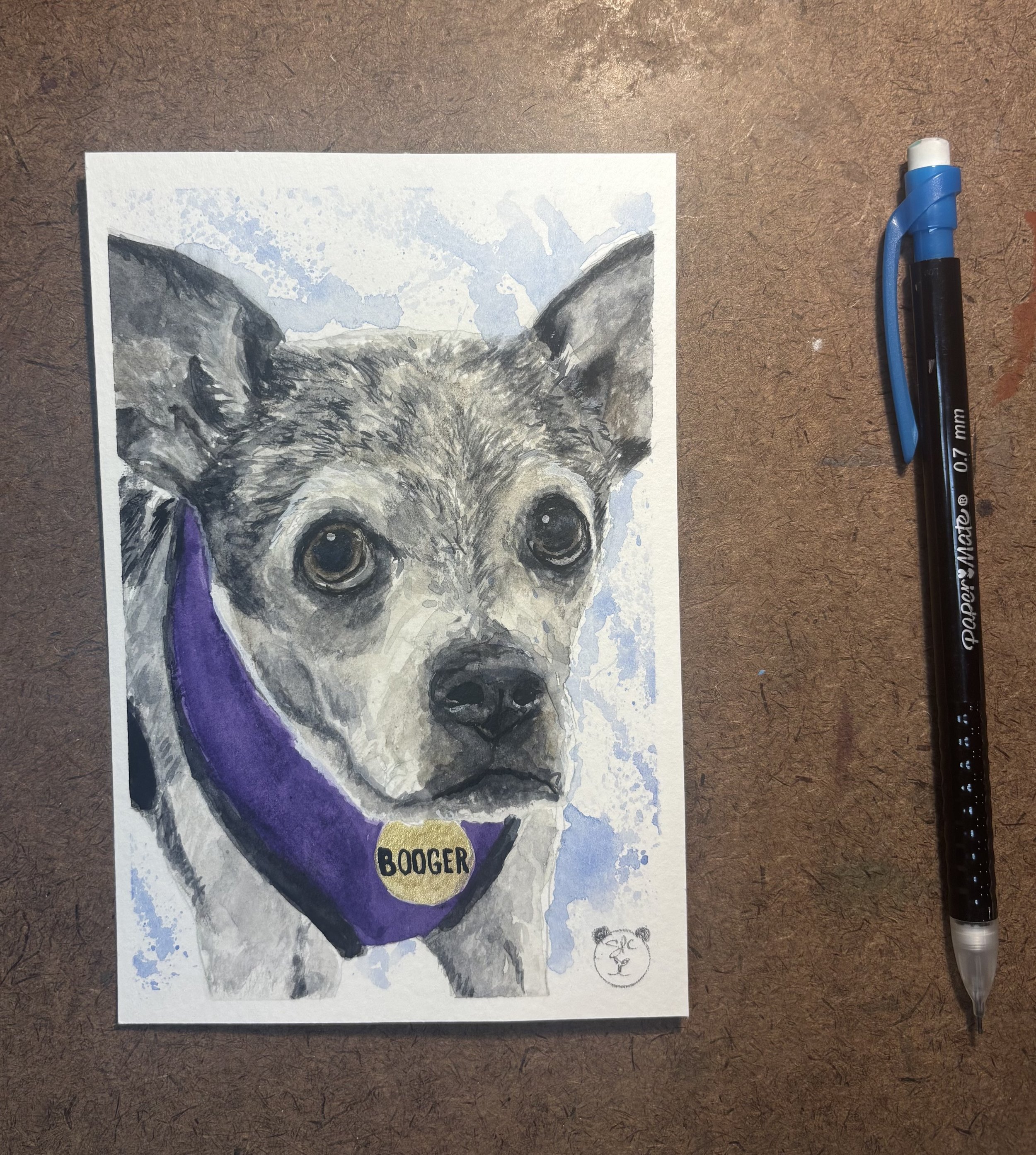 Booger - Dog Portrait