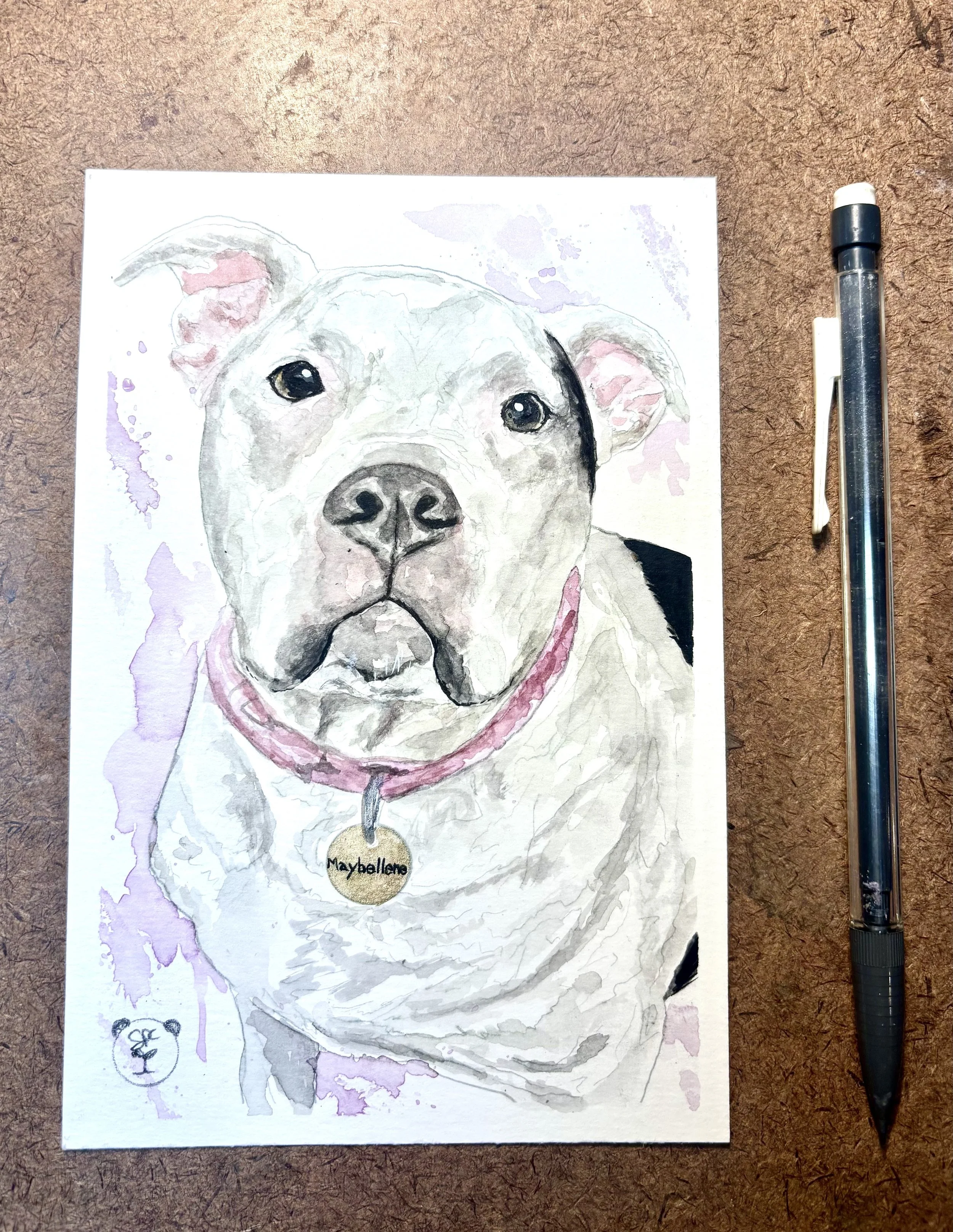 Maybellene- Dog Portrait