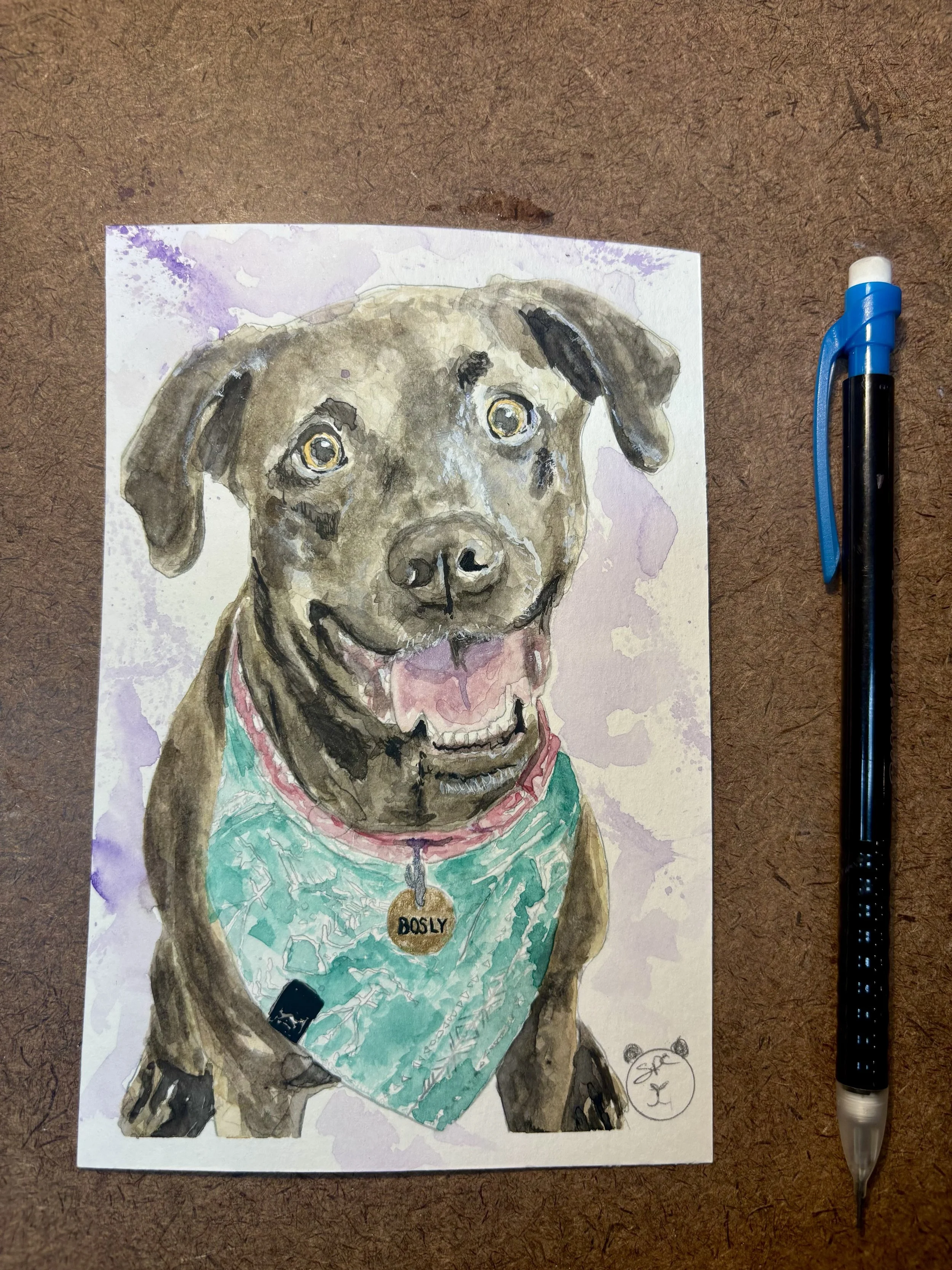 Bosly - Dog Portrait