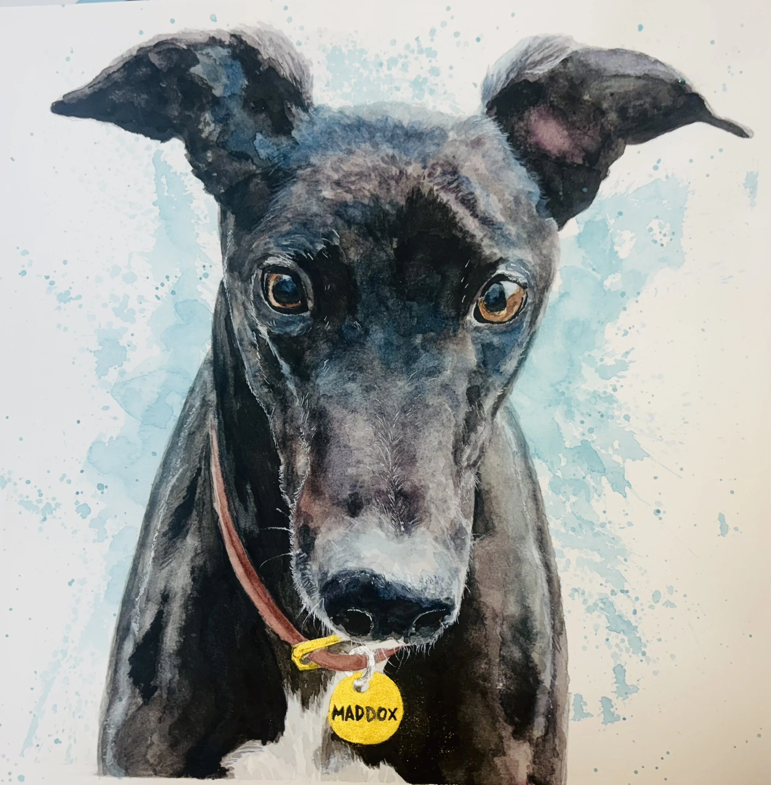 Maddox - Pet Portrait