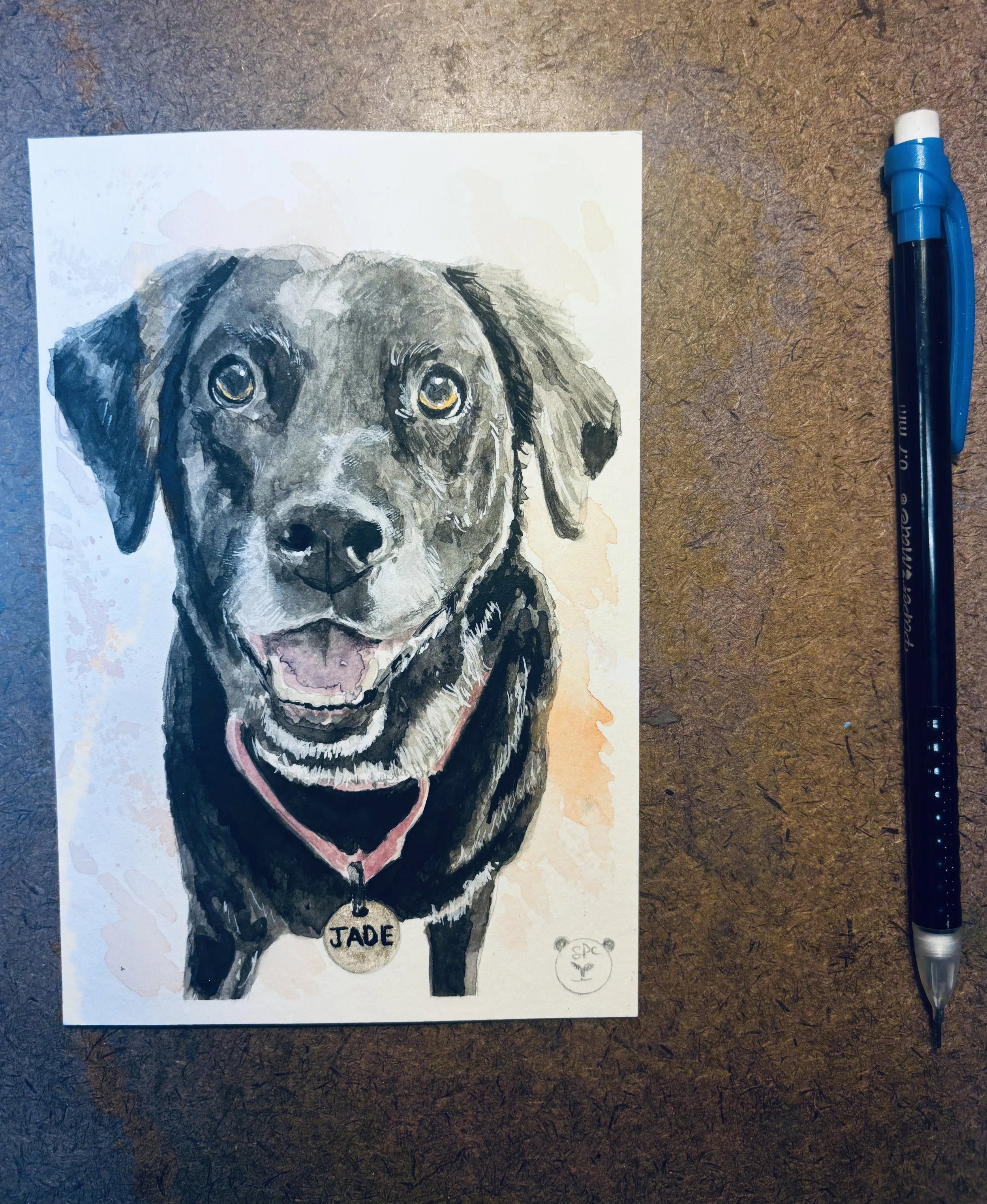 Jade - Dog Portrait