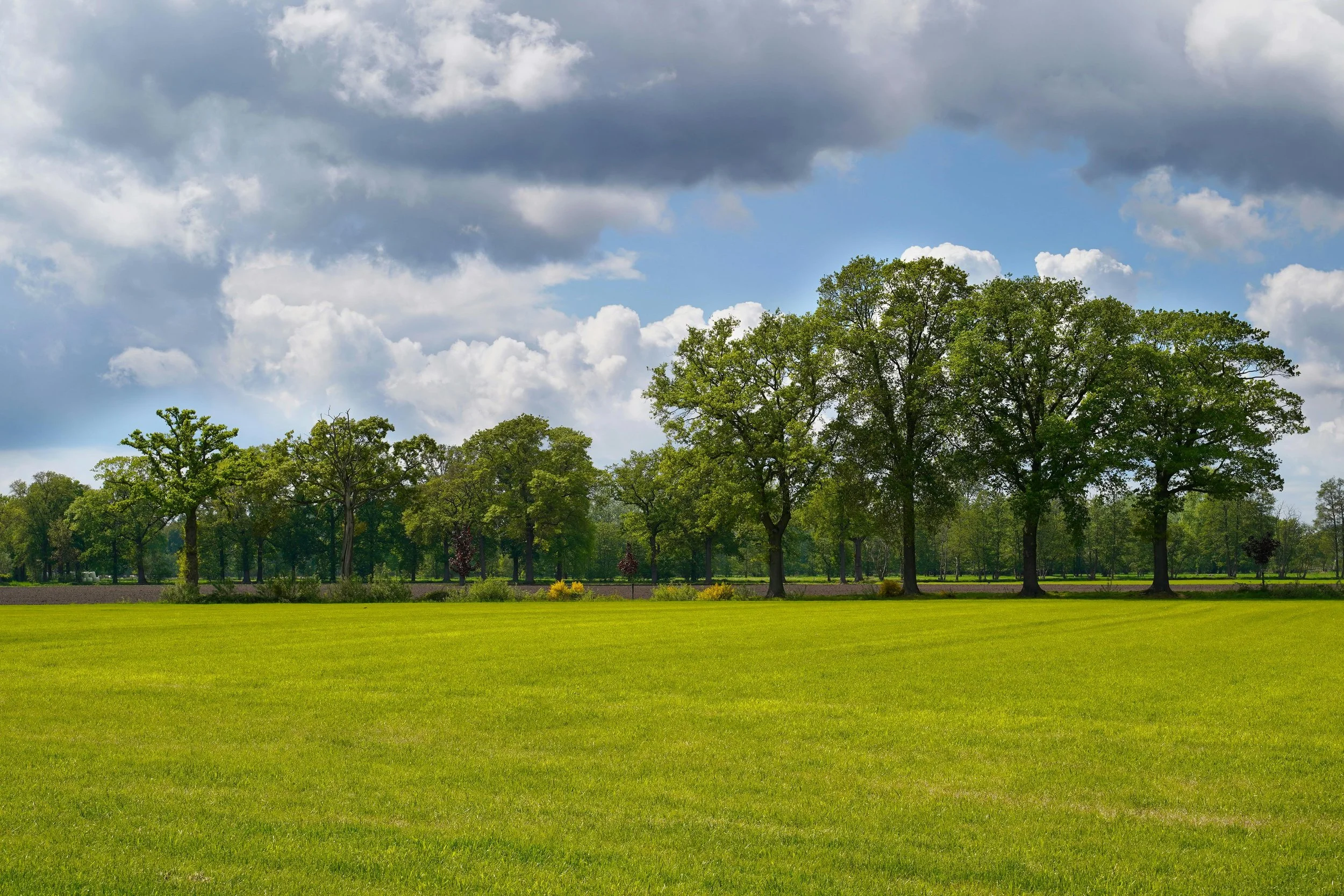 15+ ACRES IN PILOT POINT. ZONED COMMERCIAL. MINIMUM DIVISIBLE 5 ACRES. DEVELOPMENT READY. (SAMPLE PICTURE)