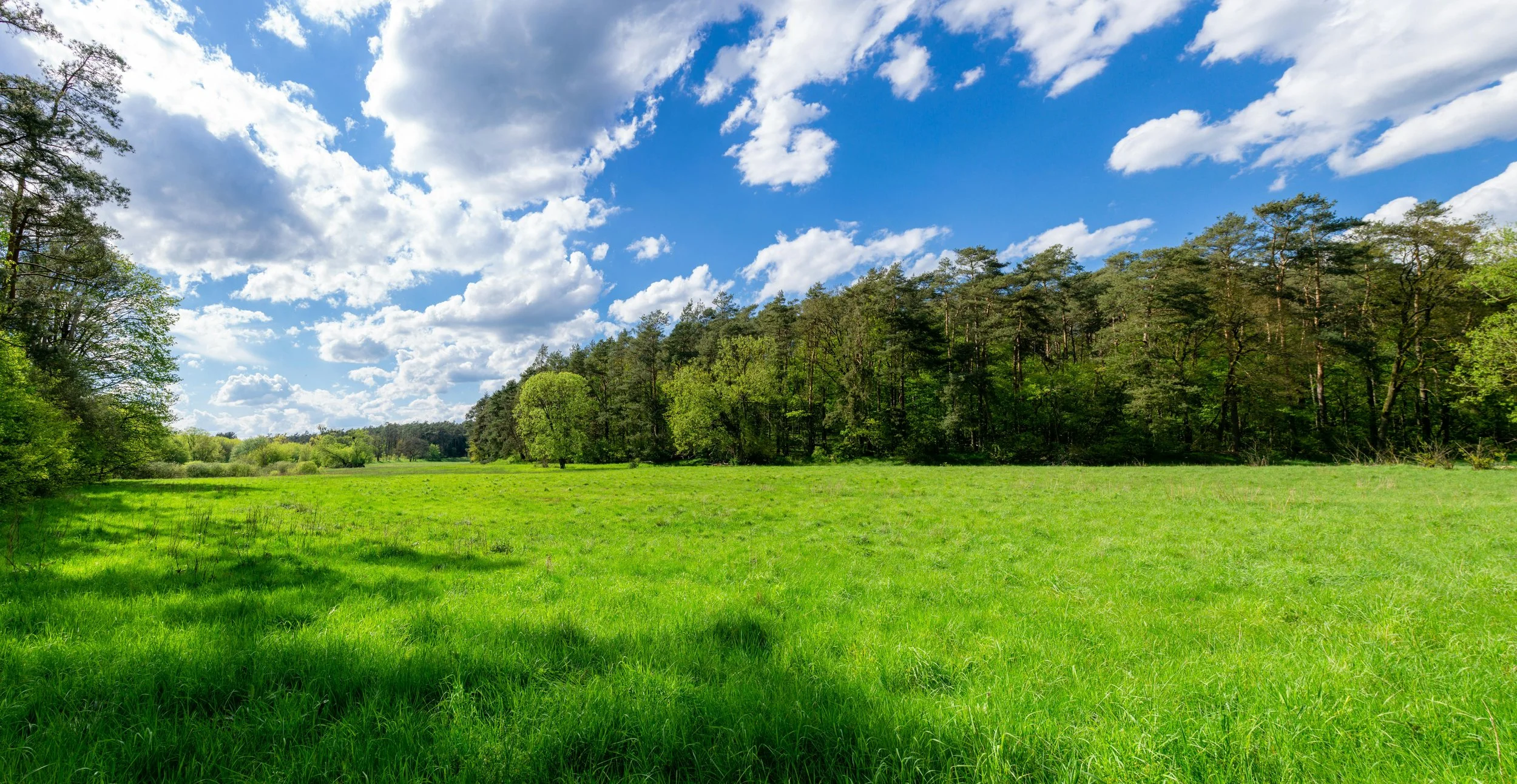 40+ ACRES IN GUNTER. MINIMUM DIVISIBLE 5-10 ACRES ZONED- MIXED USE (SAMPLE PICTURE)