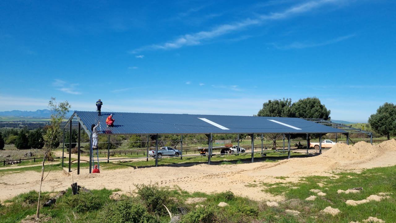 WhatsApp Image 2024-08-23 at 11.16.27.jpeg