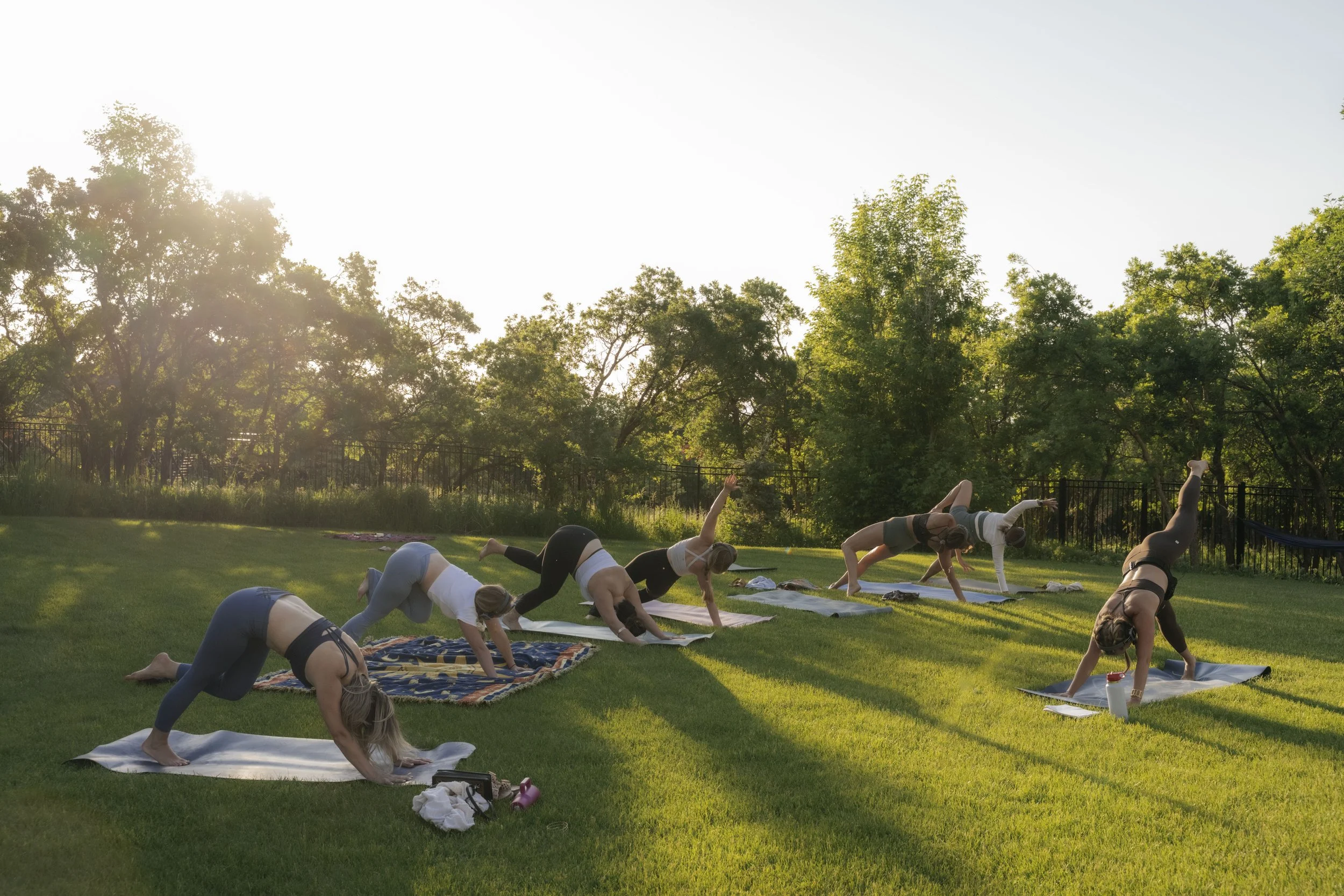 Group of women practicing yoga outdoors on a grassy field during sunset, performing downward dog poses on yoga mats.