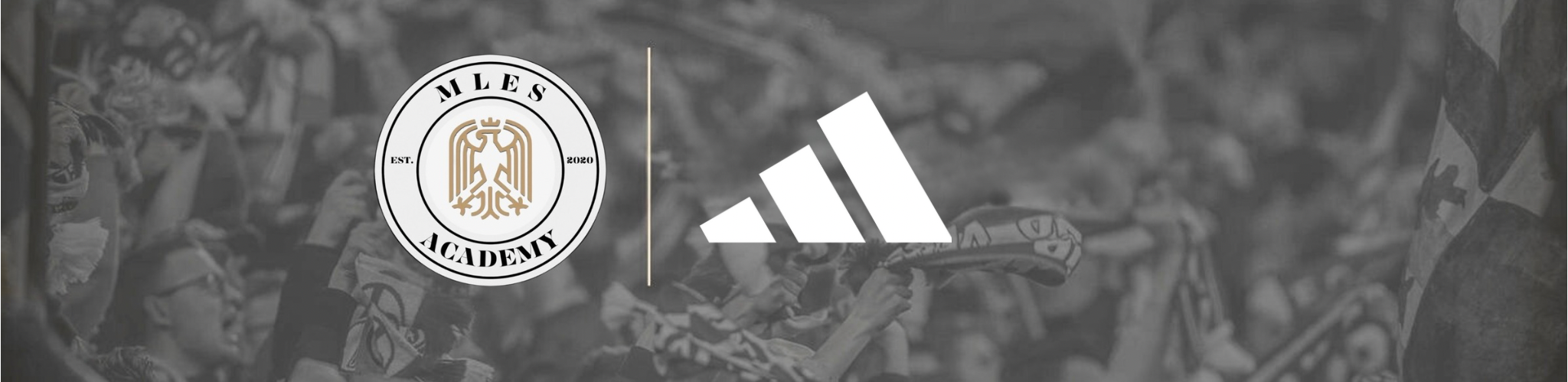 Untitled design 3.PNG