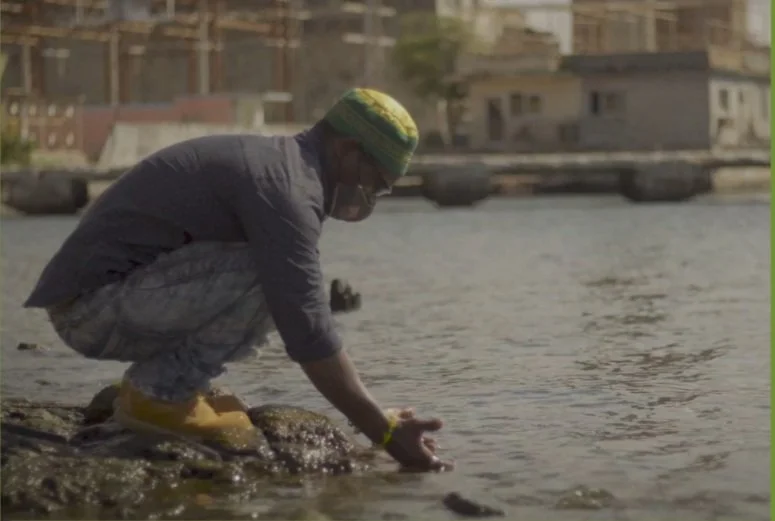 omelora flyer + schedule - Amberley.jpg