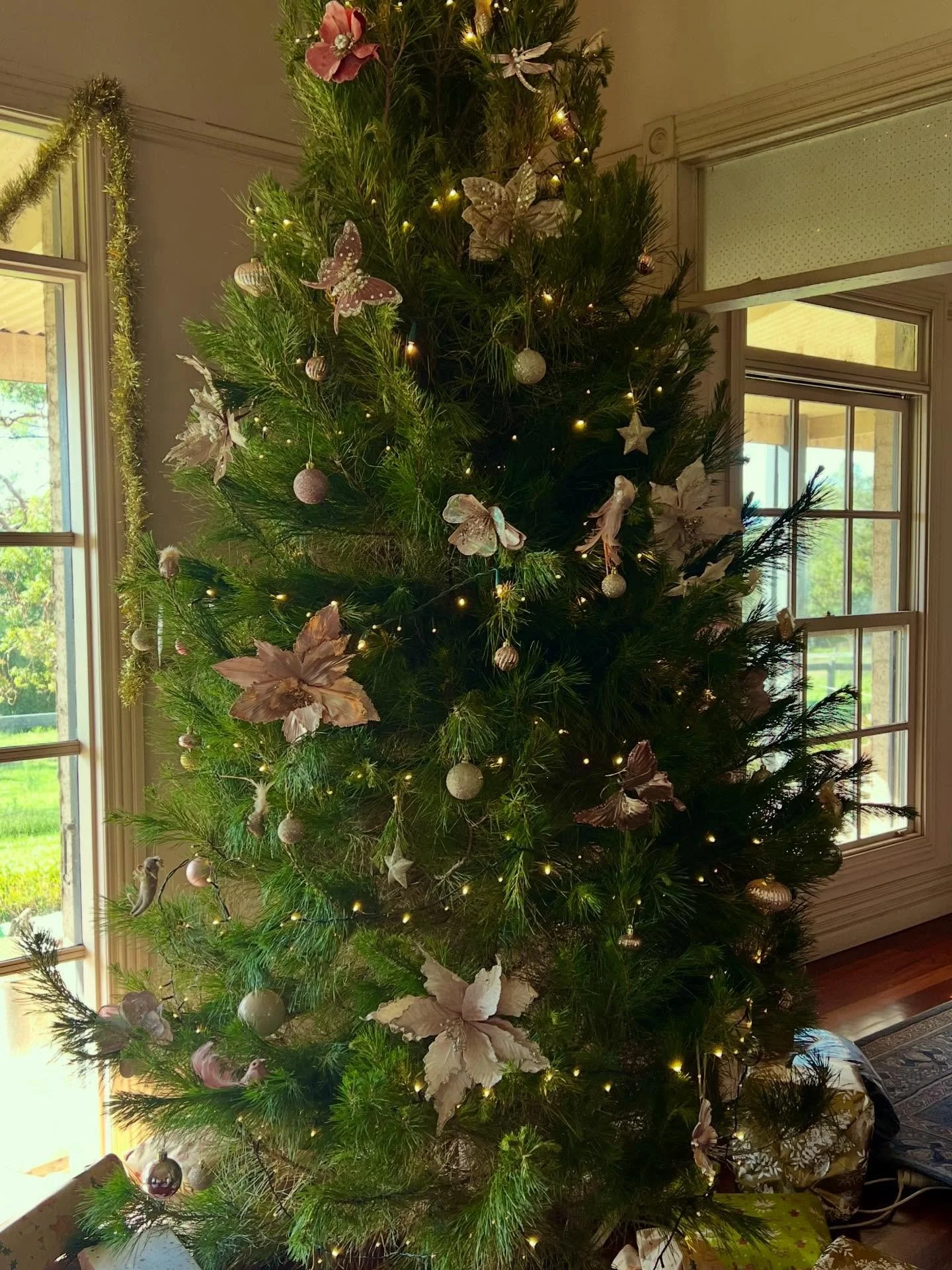 I&rsquo;d fully intended to get my December Newsletter out by now but festive preparations and family events have had me on the run!

Instead, I&rsquo;ll wish all my followers, readers and listeners of Writes4Women a safe, peaceful and joyous Christm