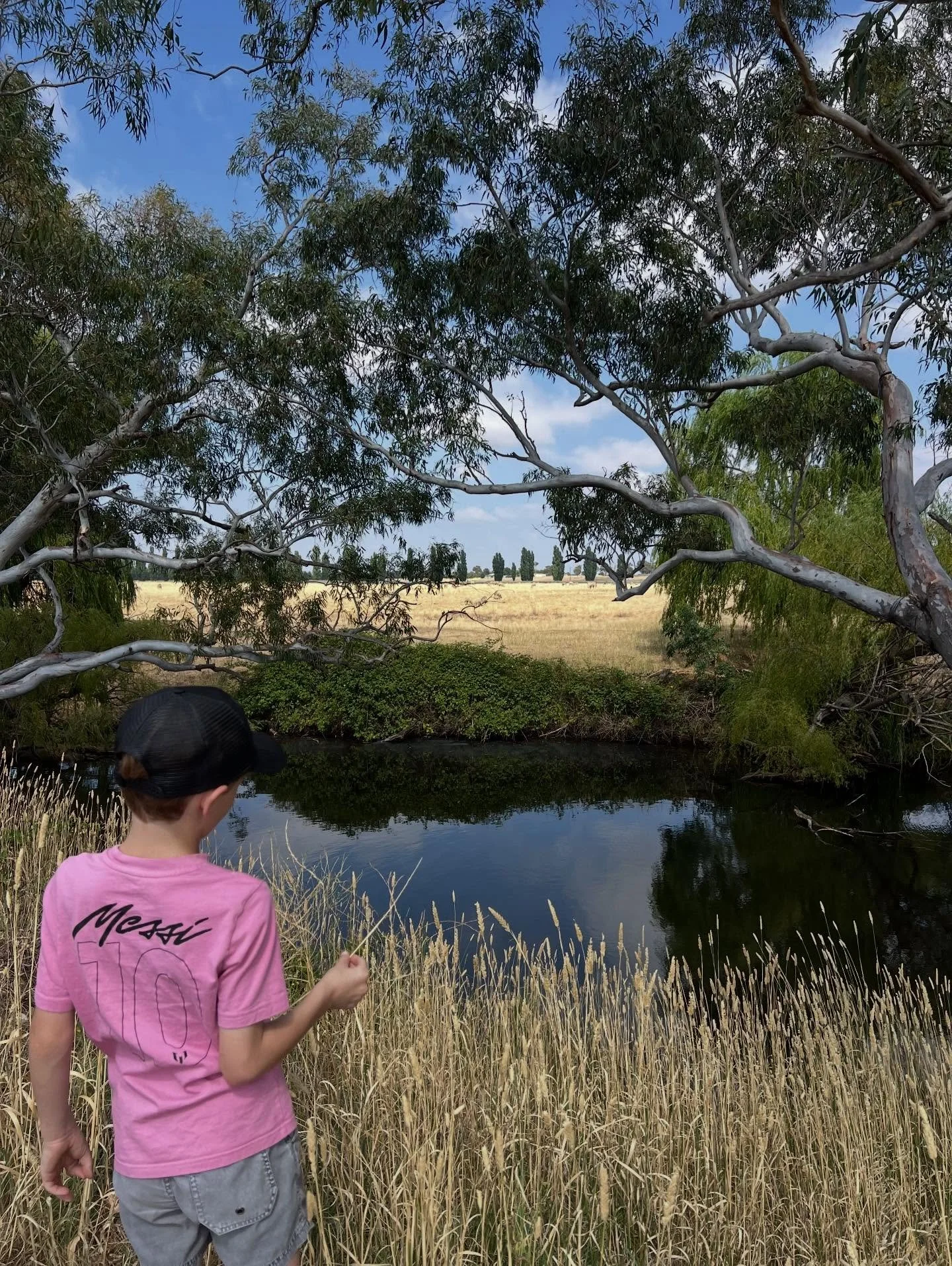 How amazing are country towns?

A beautiful morning in Boorowa with my grandboy &hellip;

A walk along the river, magpies gobbling grubs, a cool-down at the pool and a visit to the bakery.

So reminiscent of Country Towns by Kenneth Slessor, a poem I
