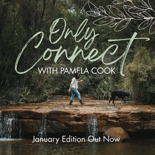 Kicking off the year in newsletters with a writing update, book reviews and reading, viewing and listening recommendations plus a book giveaway! 🎉

If you haven&rsquo;t subscribed yet the link is in the usual place. 😉

#bookreviews #bookgiveaway #a