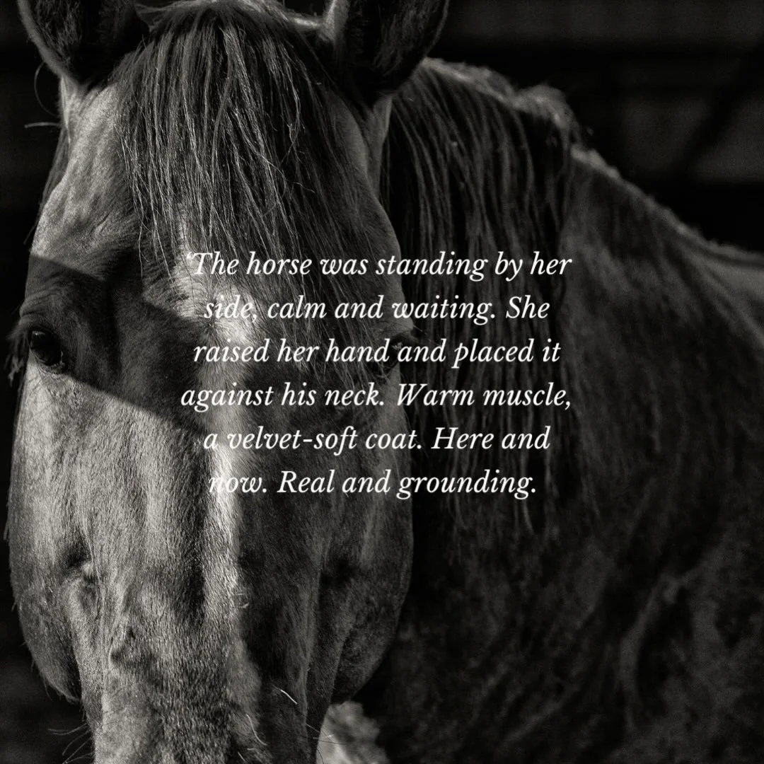 Have you ever heard of equine therapy?

I first came across it many years ago in an article in The Good Weekend, describing the use of horses as therapy animals for those afflicted by the Black Saturday bushfires.
Since then I&rsquo;ve dug deep into 