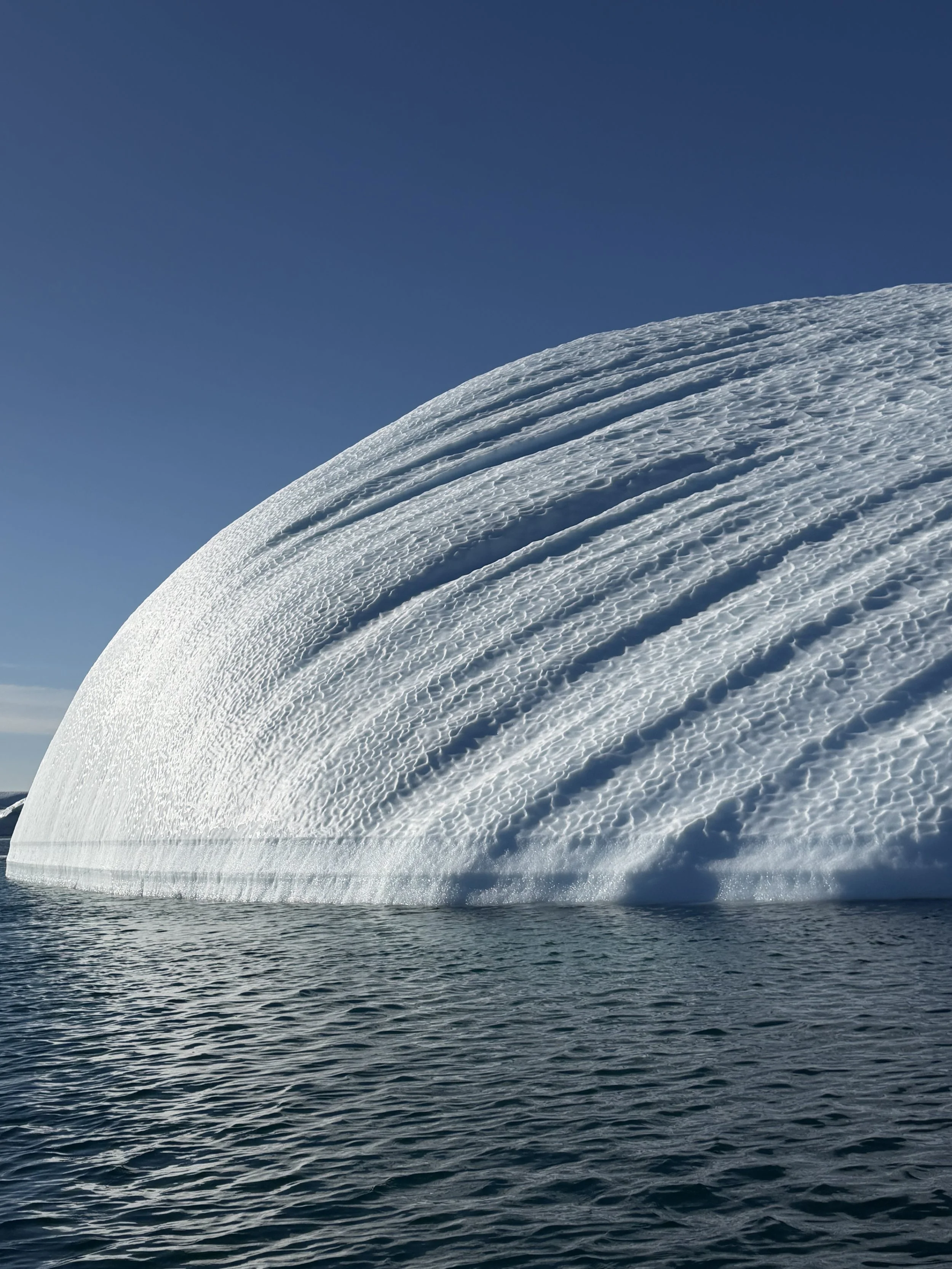 Cruising Through an Iceberg Graveyard 