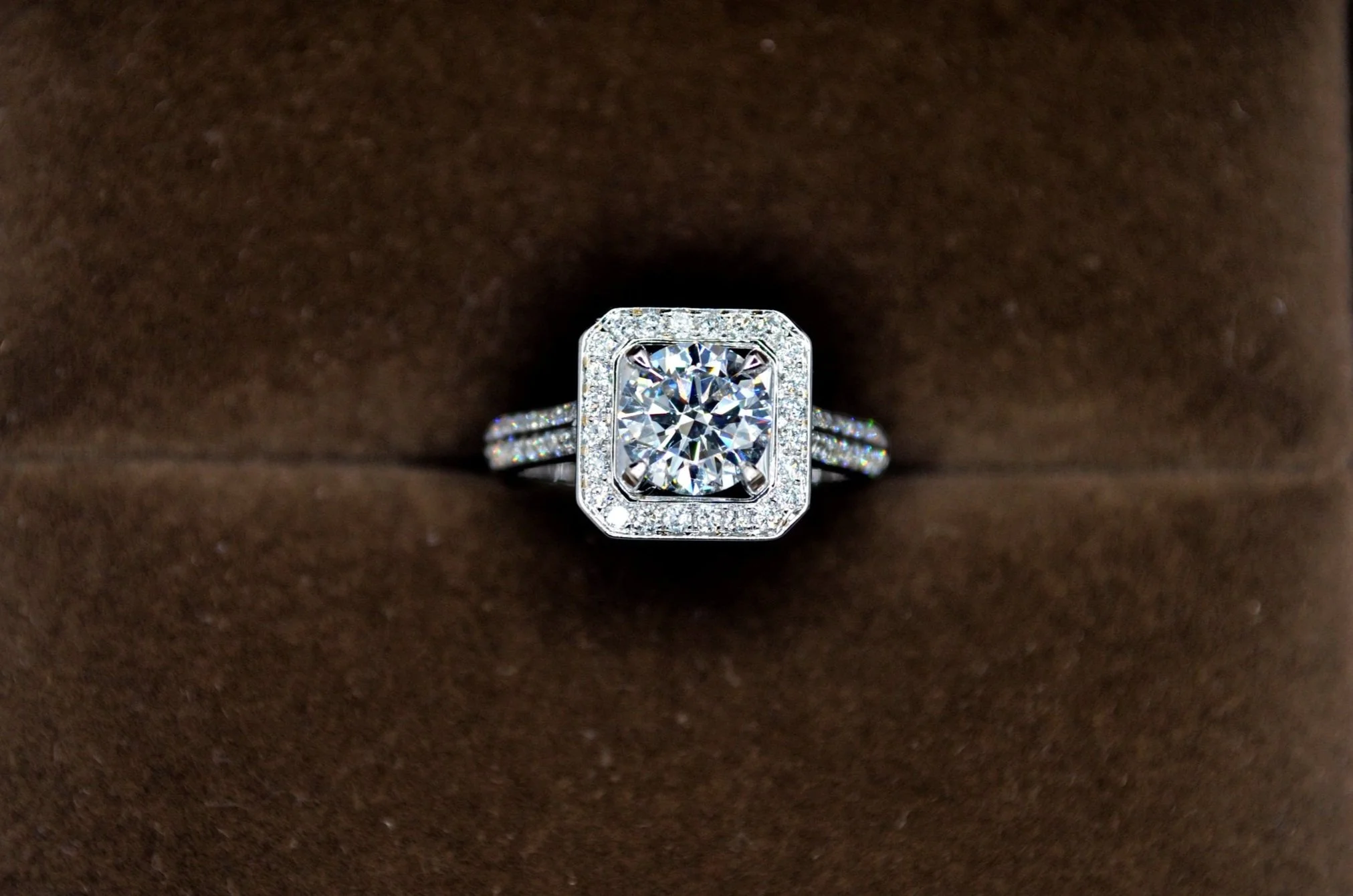 R2111.jpg