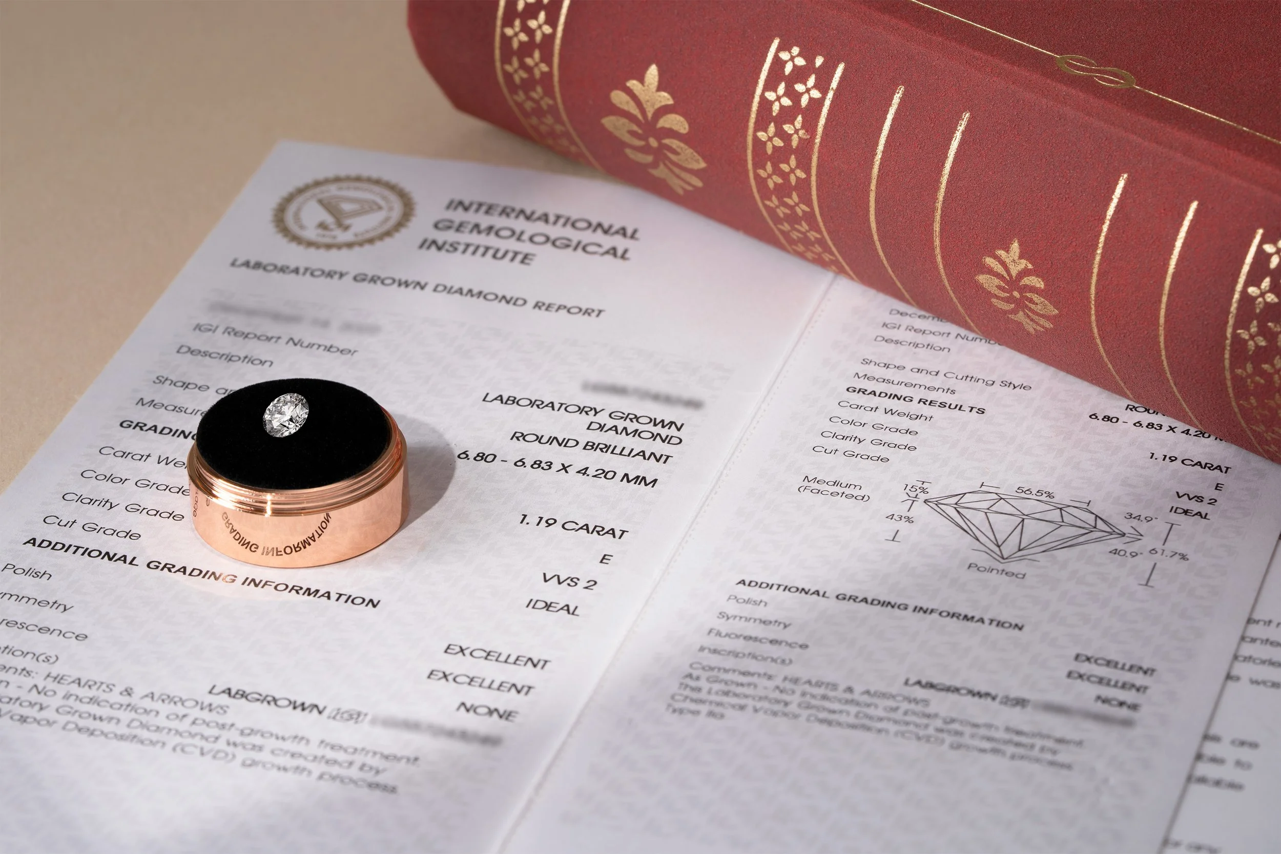 diamond and certificate 03.jpg