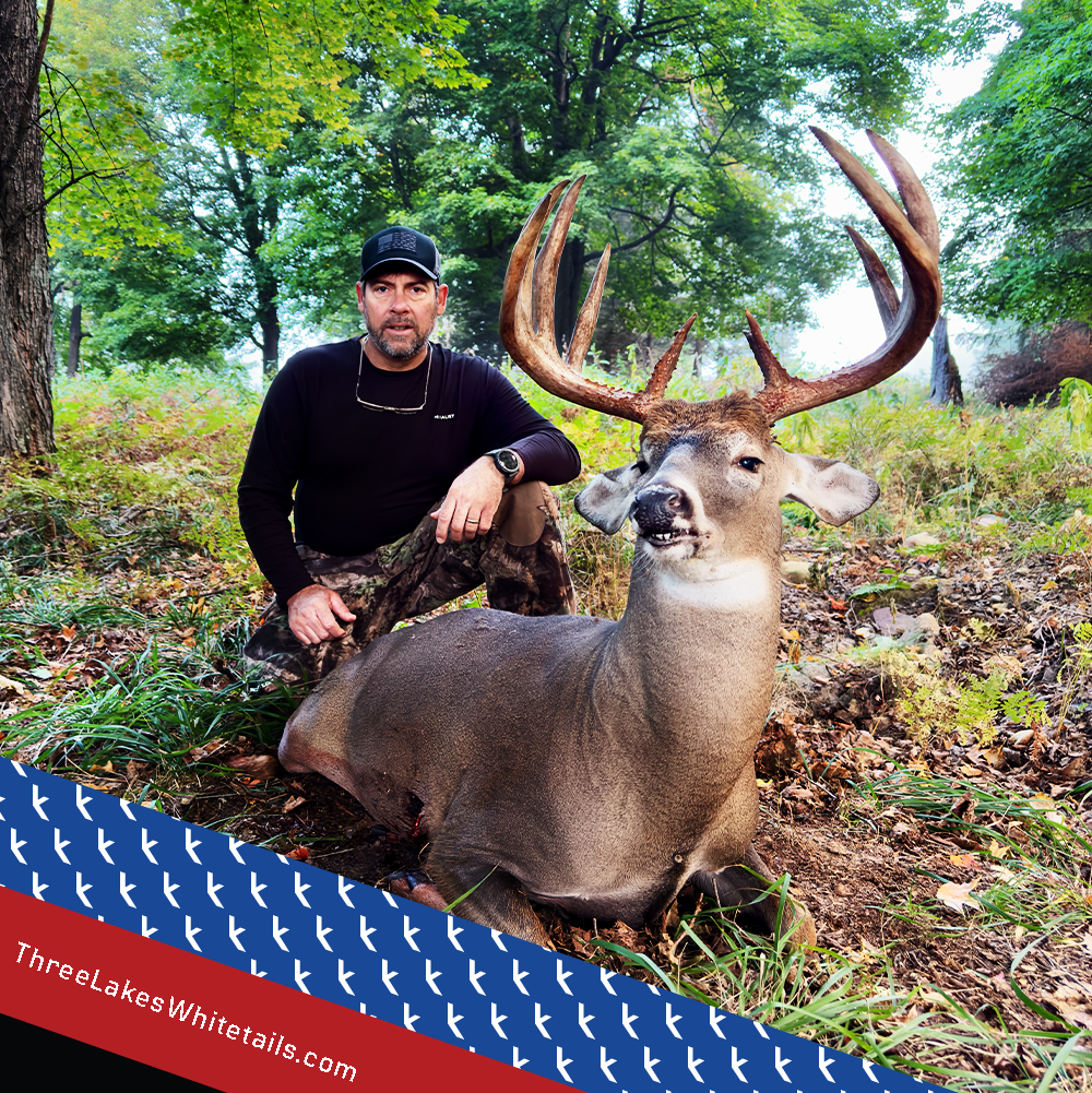 Amazing deer down by Don!