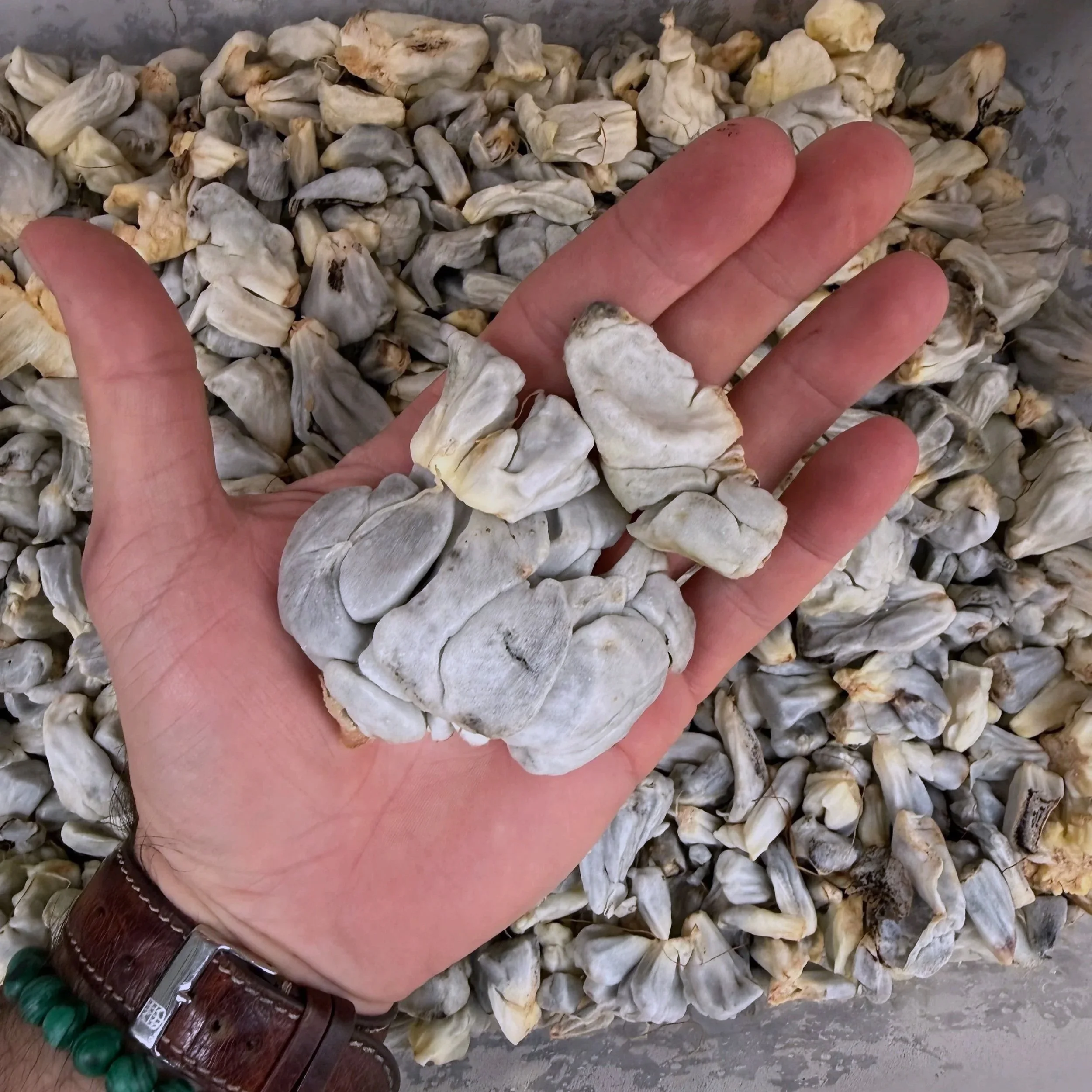 Inspiring Foods, Delivered! 3/10/2026