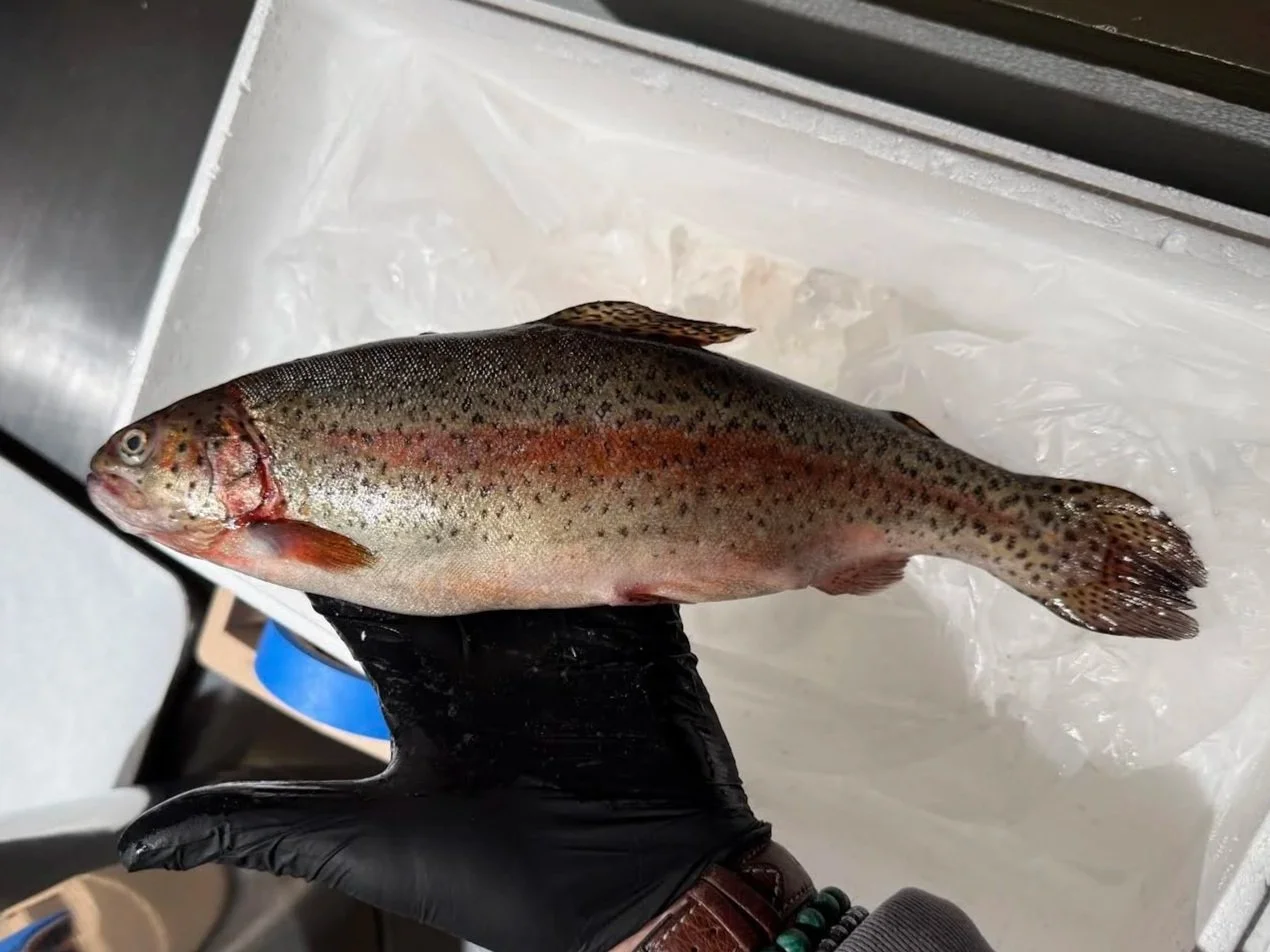 Our Inspiring Foods This Week 04/28/2026