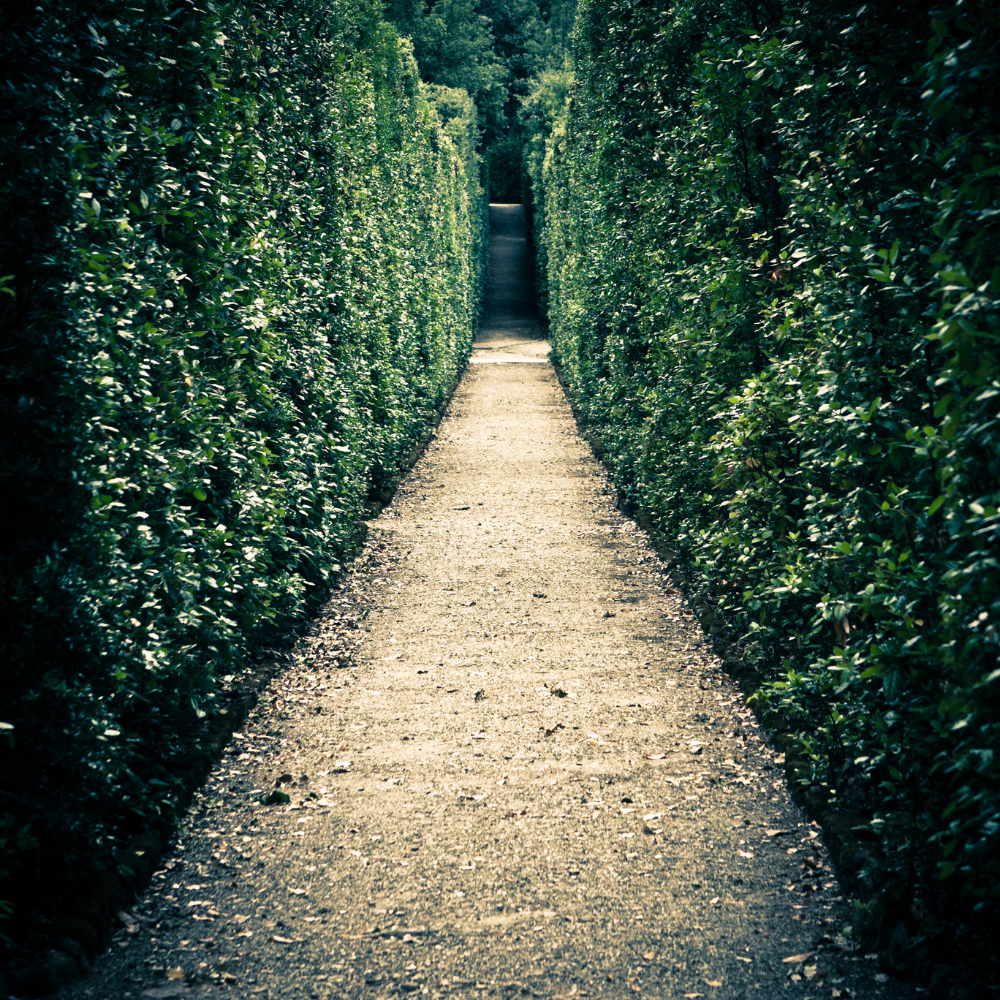 Leading Through Uncertainty: Strategic Decision-Making | Willette Wilkins